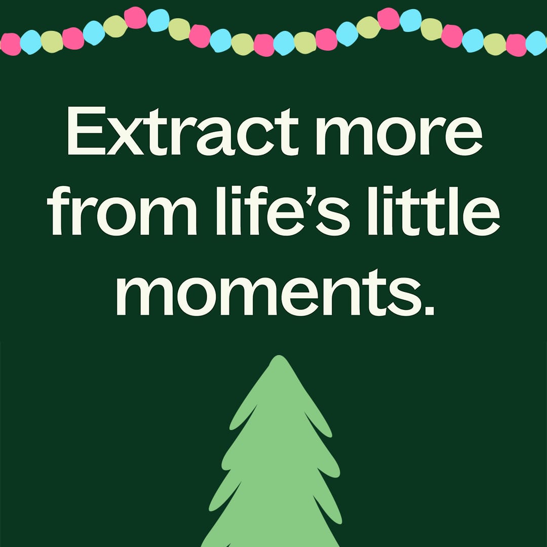 Christmas Tree Essential Oil Blend Plant Therapy