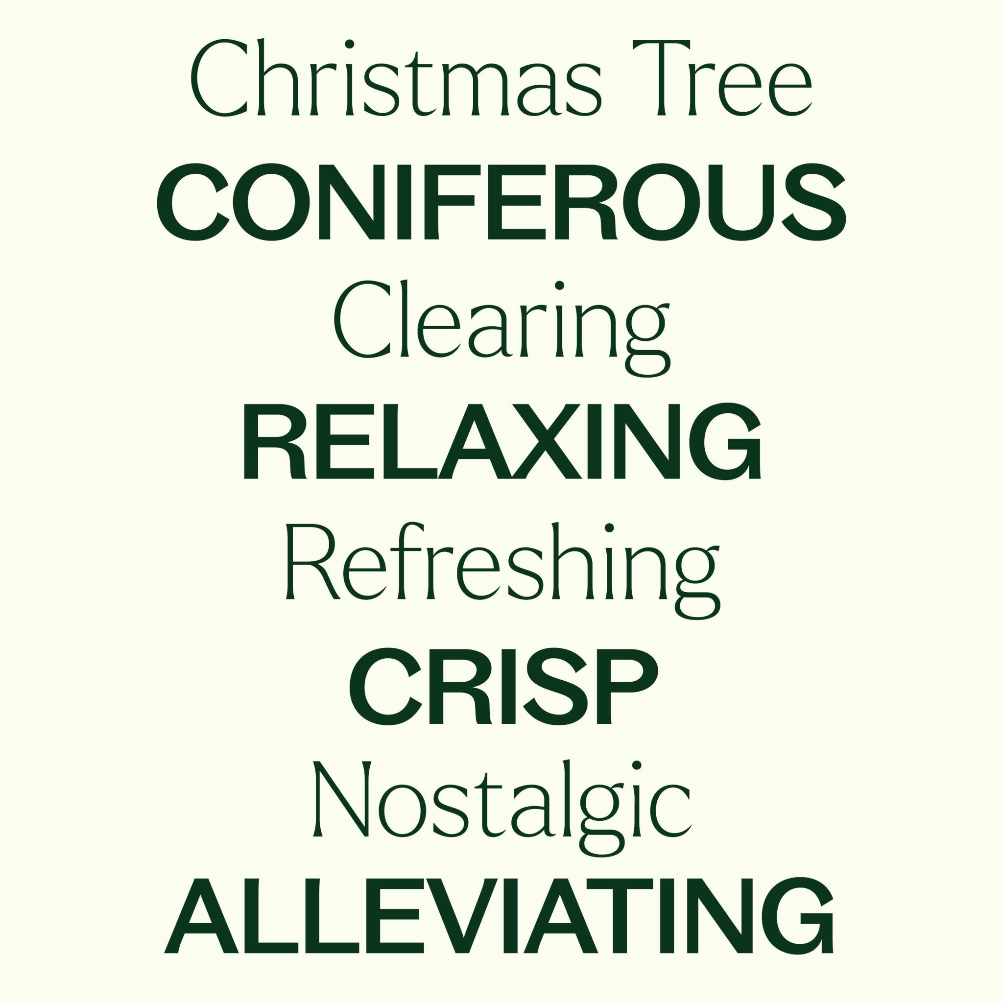 Christmas Tree Essential Oil Blend Plant Therapy