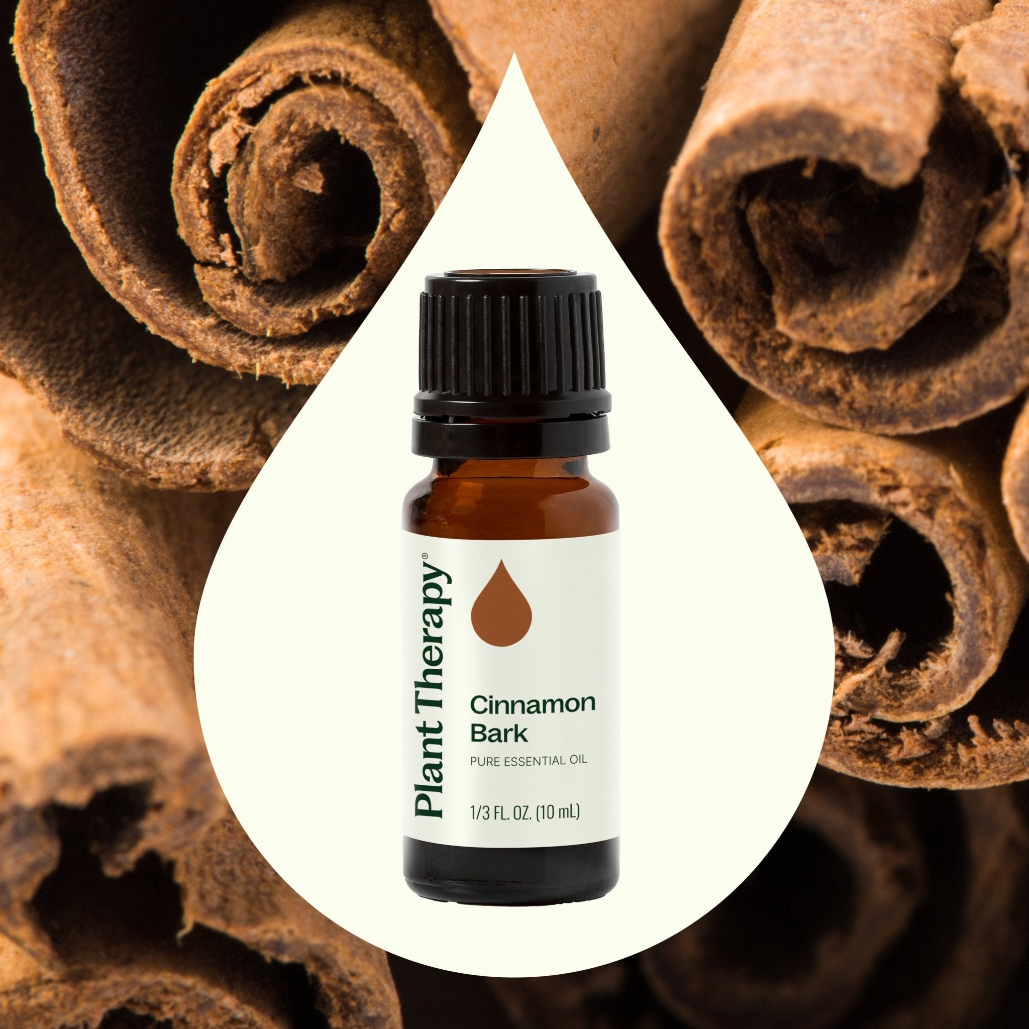 Cinnamon Bark Essential Oil Plant Therapy