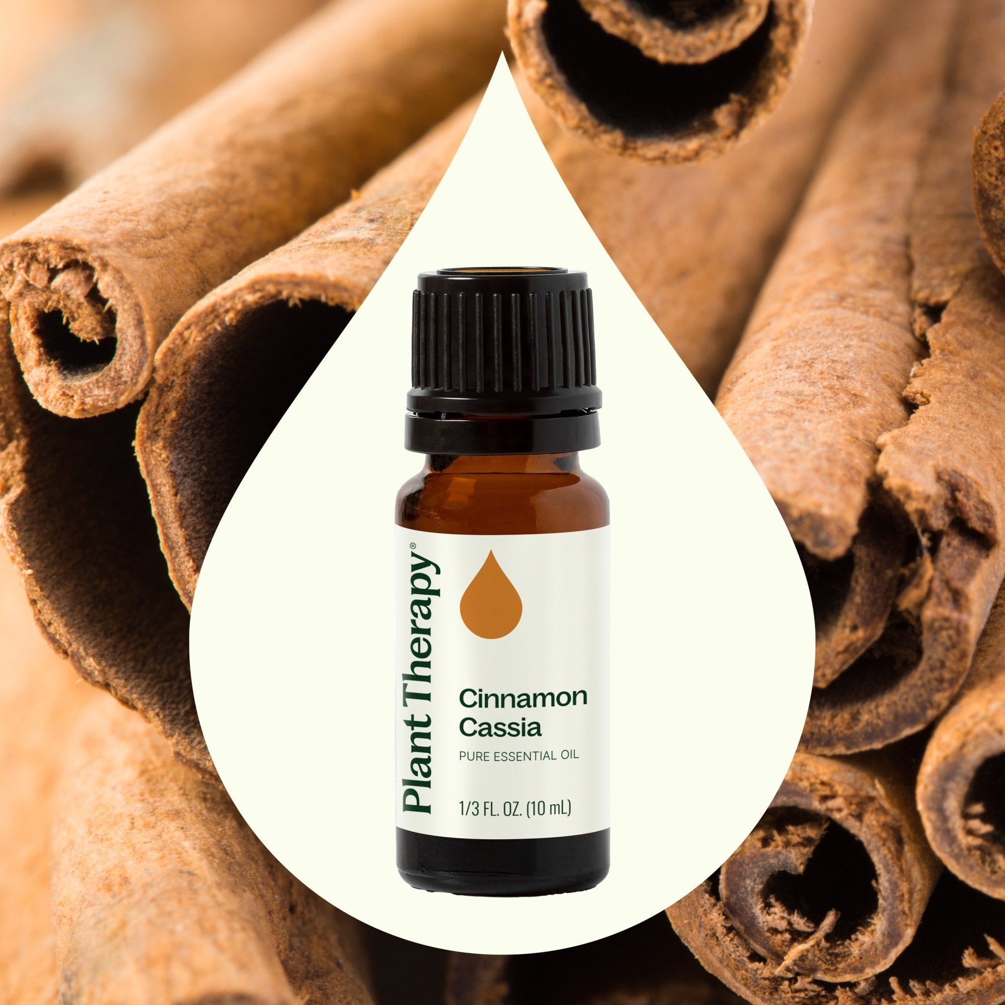 Cinnamon Cassia Essential Oil Plant Therapy