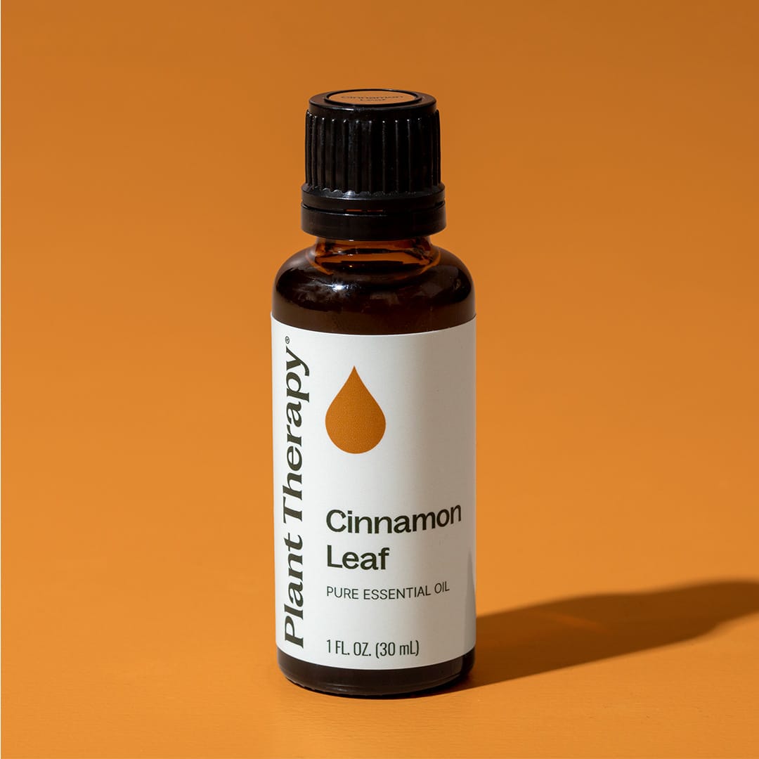 Cinnamon Leaf Essential Oil Plant Therapy