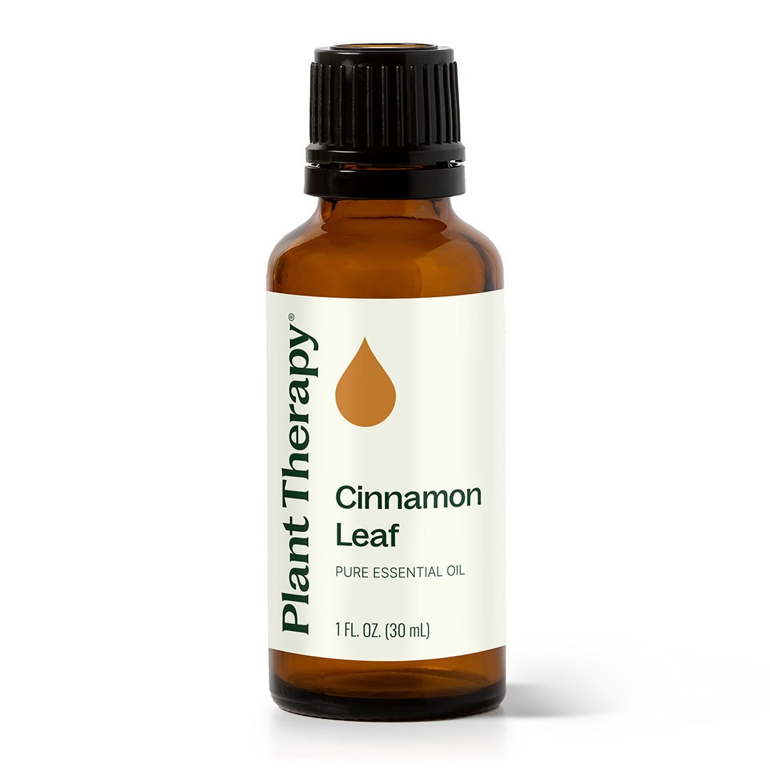 Cinnamon Leaf Essential Oil Plant Therapy