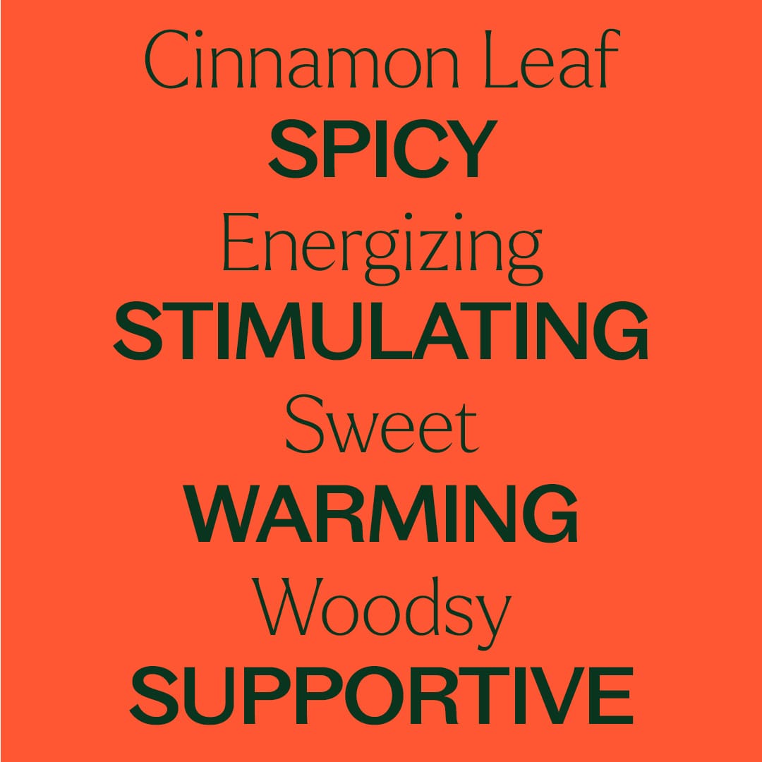 Cinnamon Leaf Essential Oil Plant Therapy