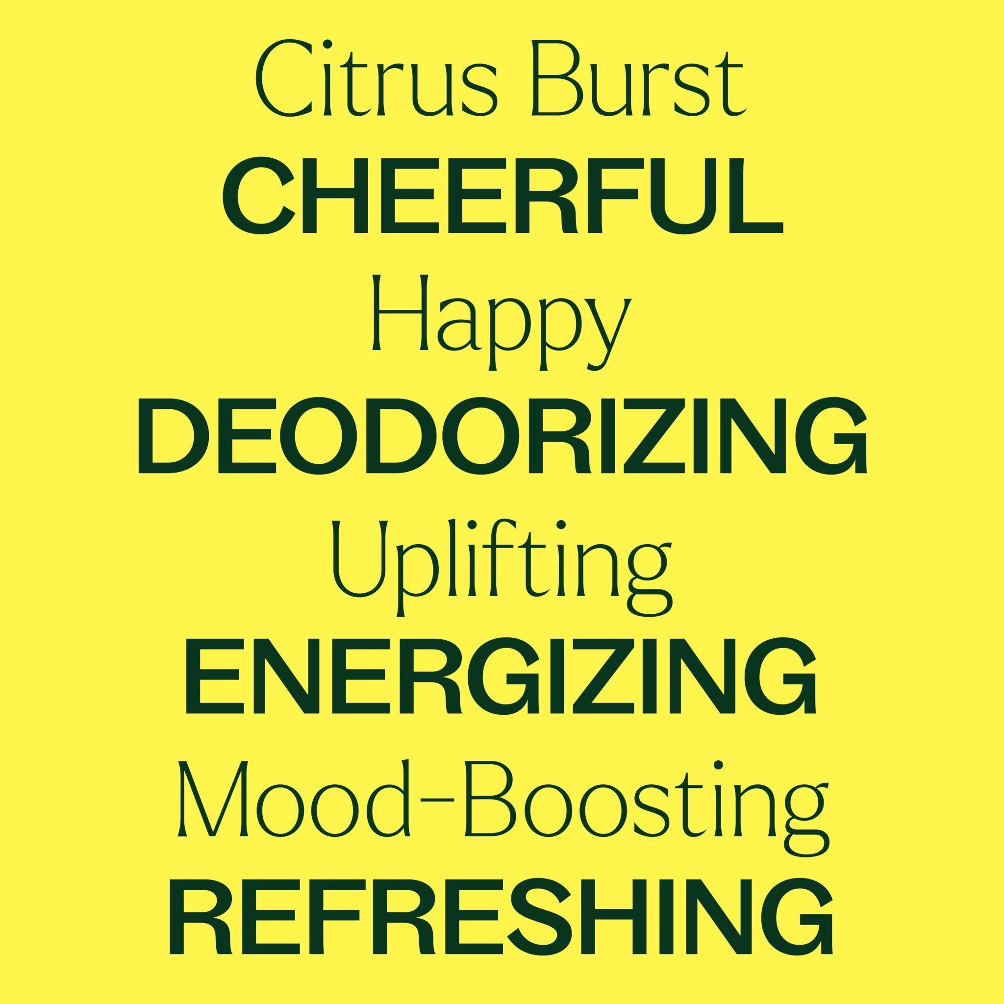 Citrus Burst Essential Oil Blend Plant Therapy