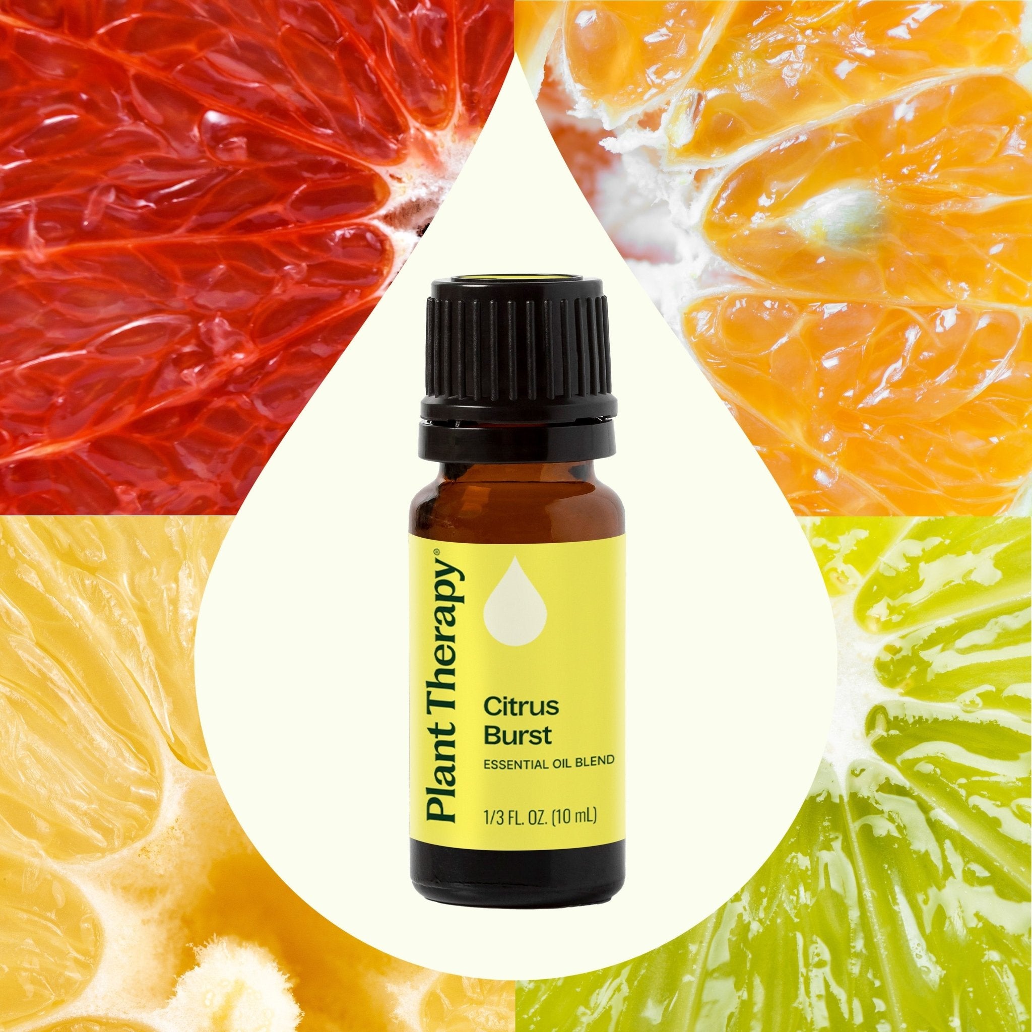Citrus Burst Essential Oil Blend Plant Therapy