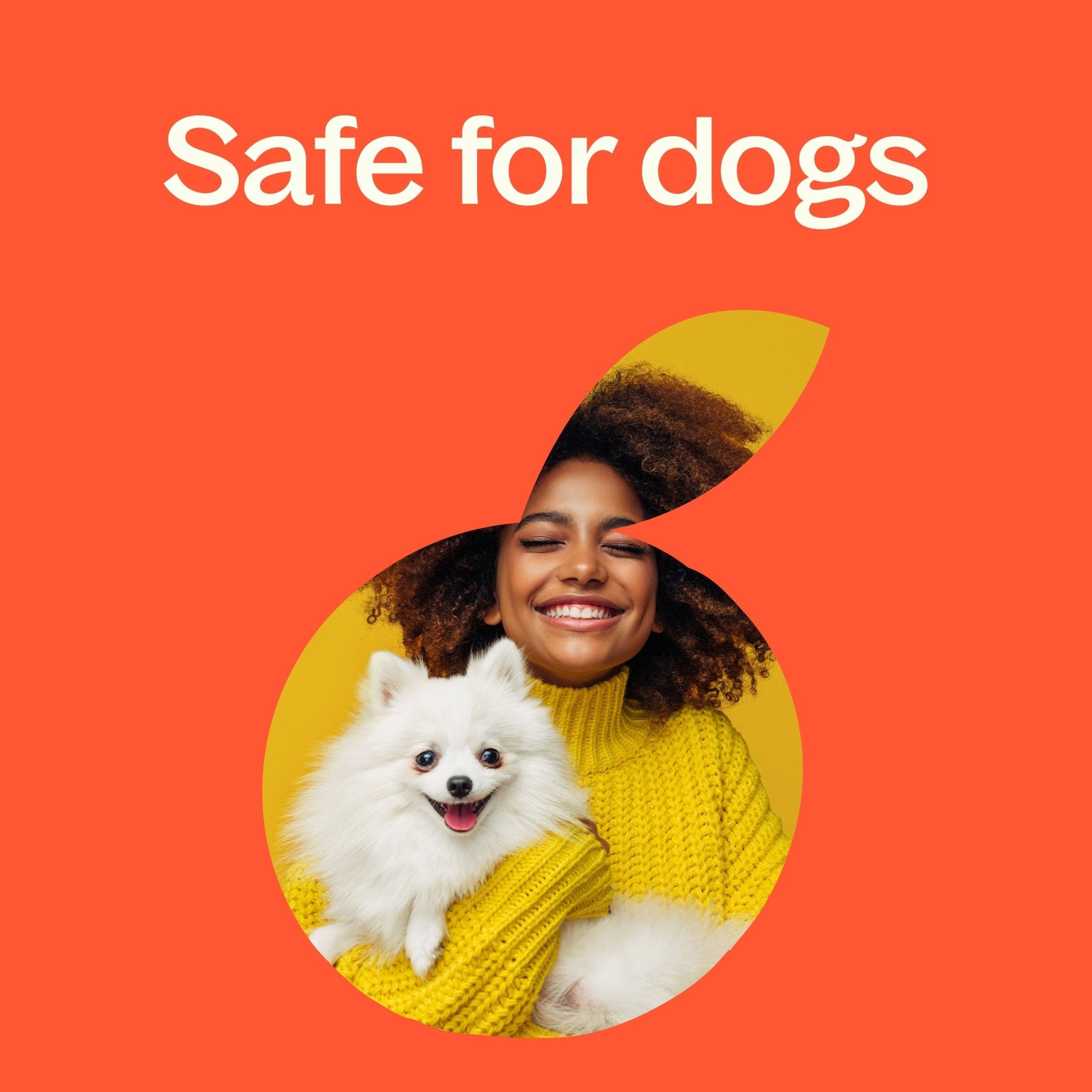 Citrus Burst Essential Oil Blend Plant Therapy