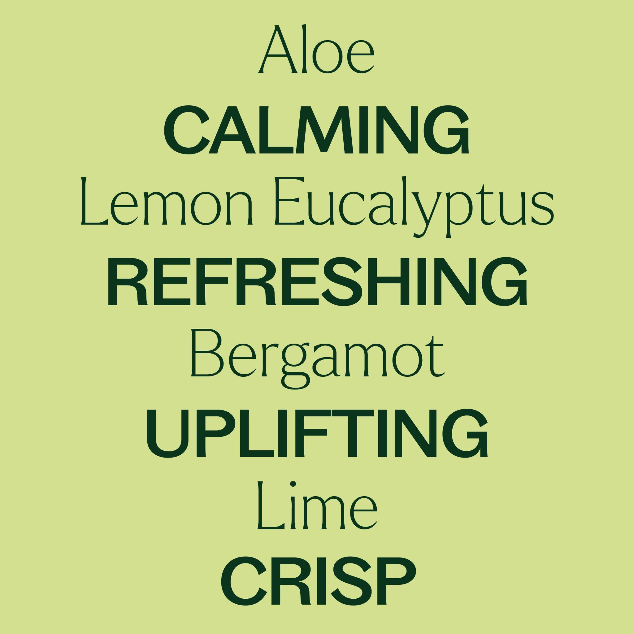 Citrus Refresher Body Wash 16 oz Plant Therapy