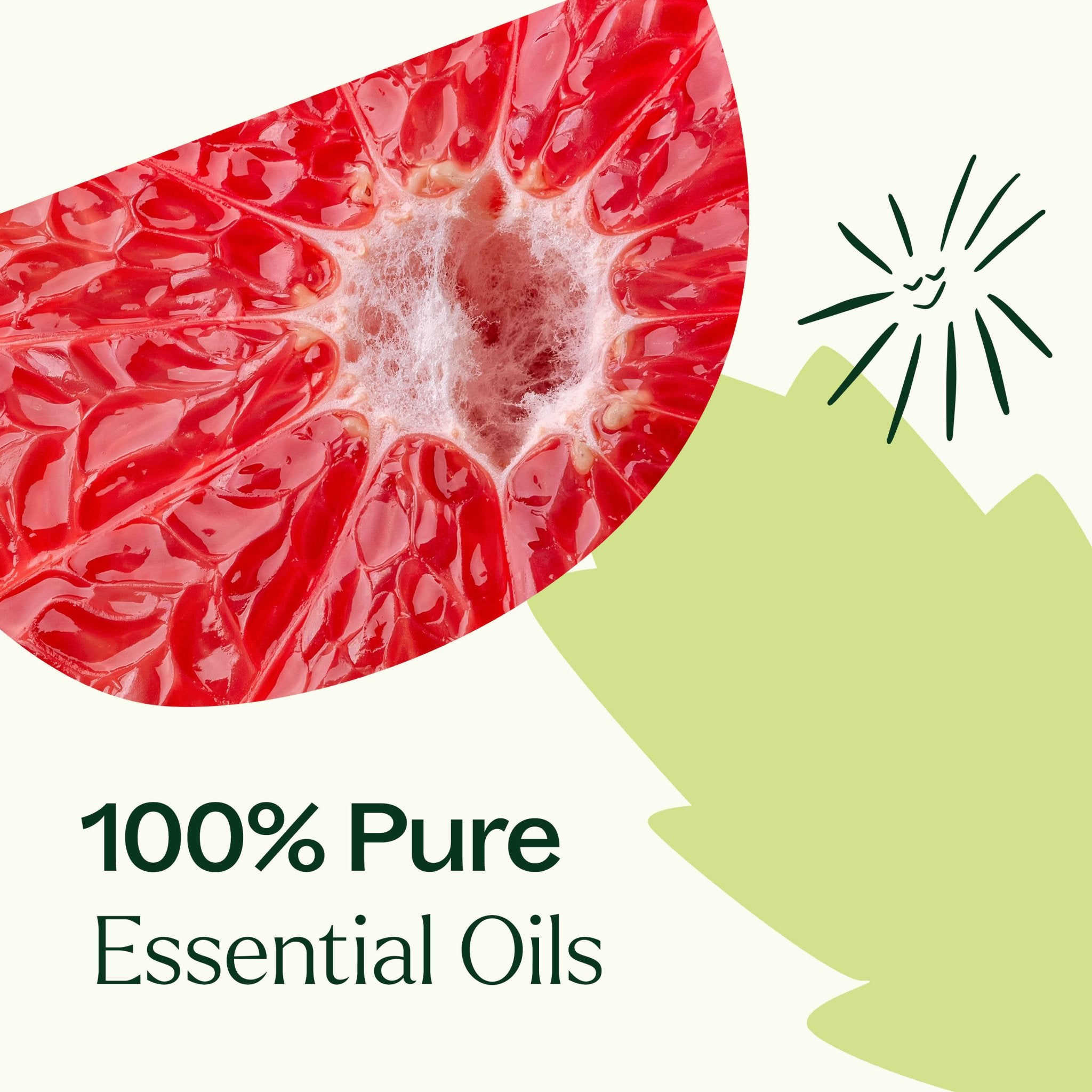 Clarity Essential Oil Blend Plant Therapy