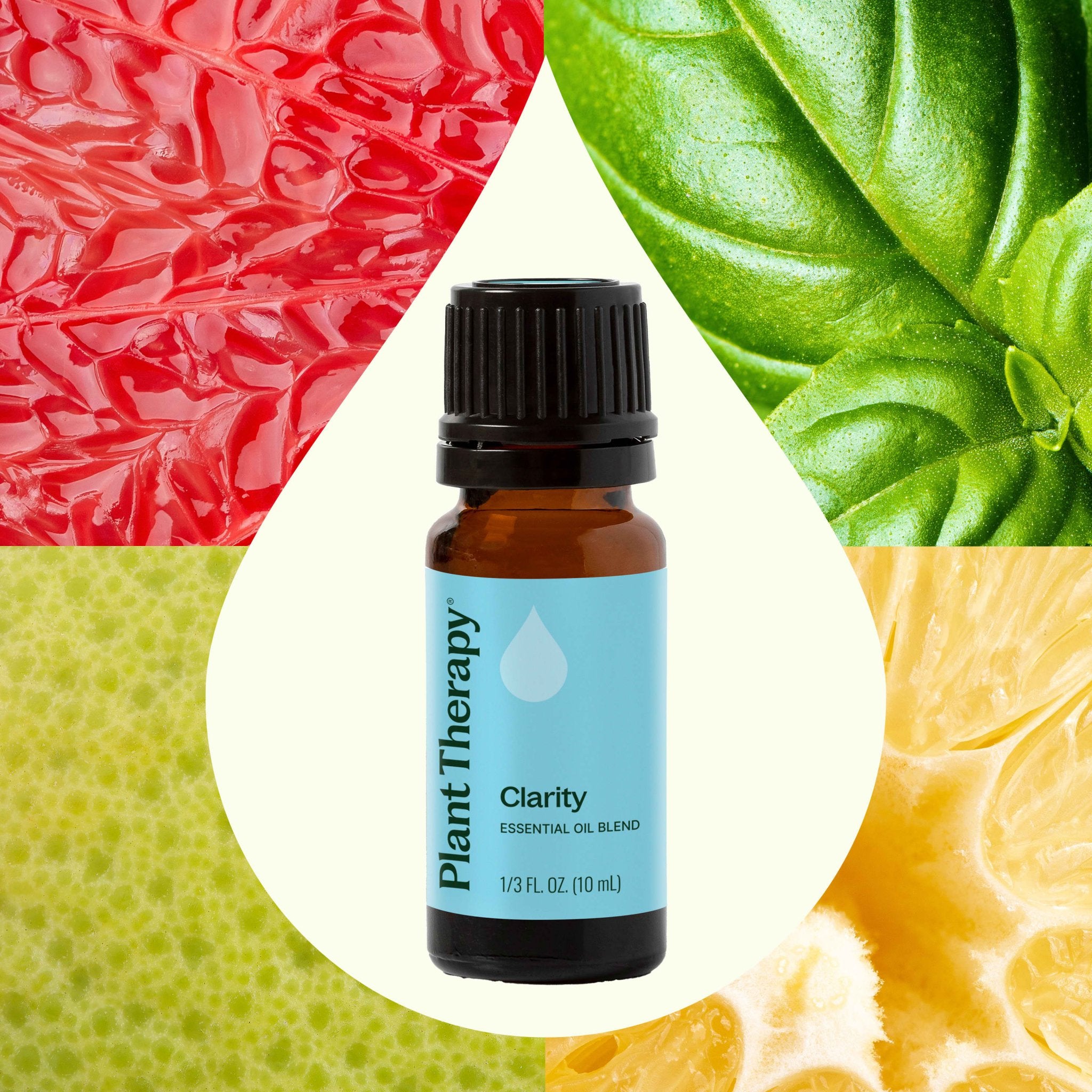 Clarity Essential Oil Blend Plant Therapy