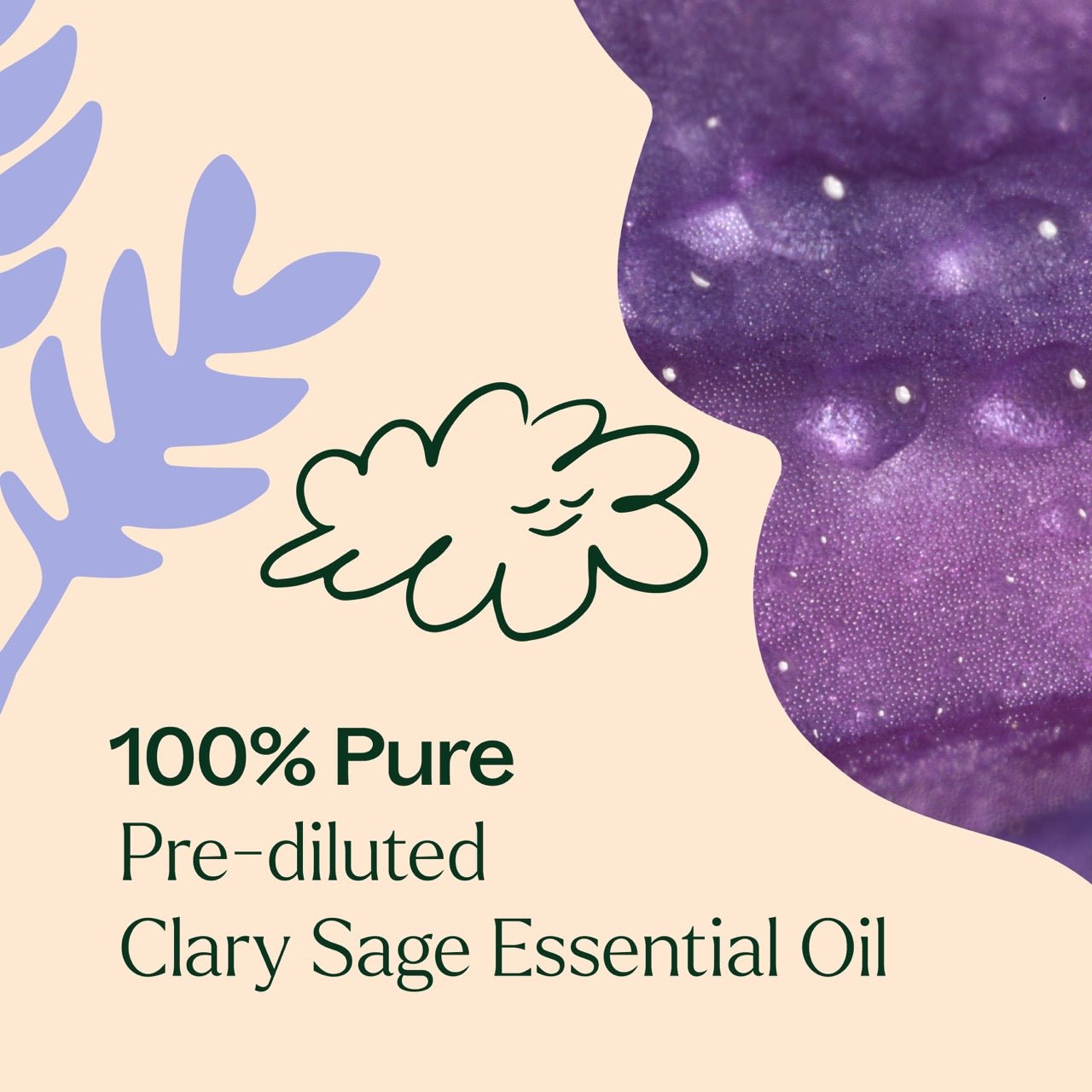 Clary Sage Essential Oil Pre - Diluted Roll - On Plant Therapy