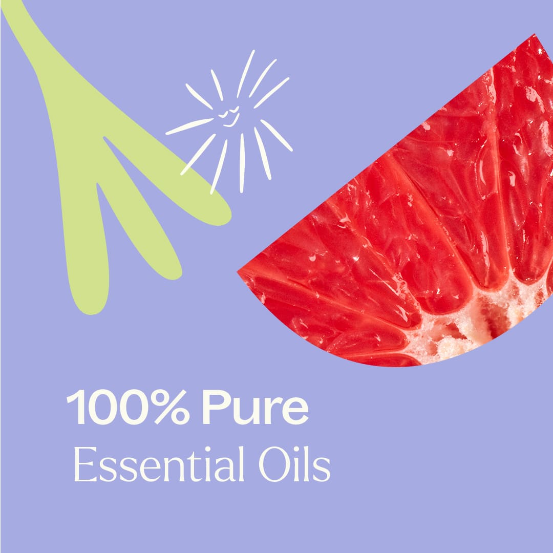 Cleaning Duo: Defender + Chamomile Sleeve Plant Therapy