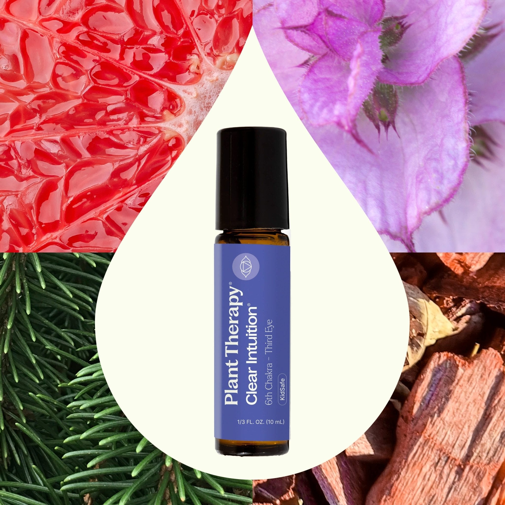 Clear Intuition (Brow Chakra) Pre - Diluted Essential Oil Blend Roll - On 10 mL Plant Therapy