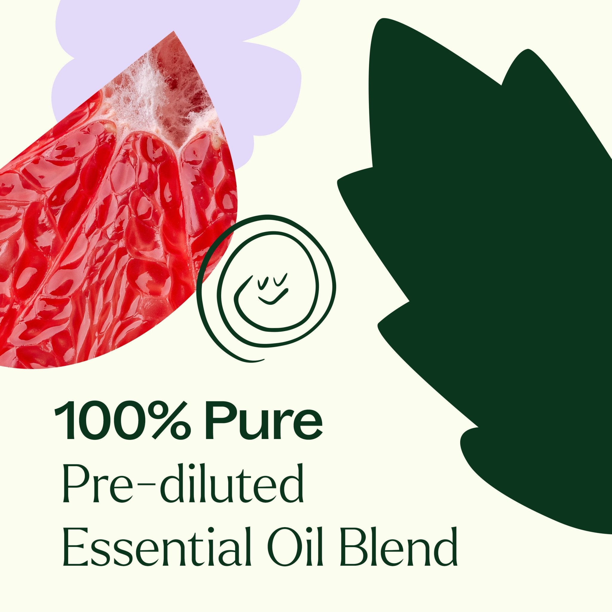 Clear Intuition (Brow Chakra) Pre - Diluted Essential Oil Blend Roll - On 10 mL Plant Therapy