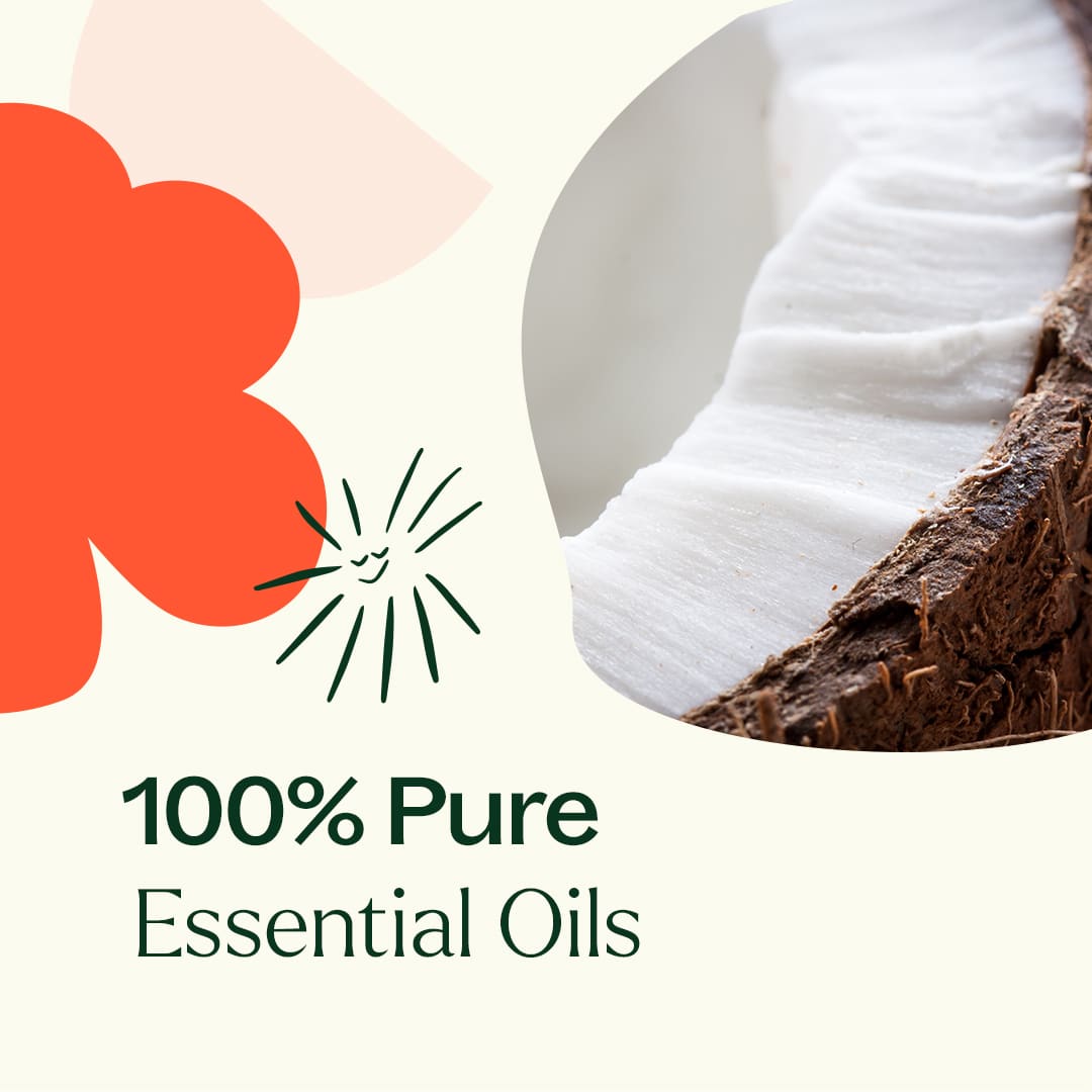 Coconut Kiss Essential Oil Blend Plant Therapy