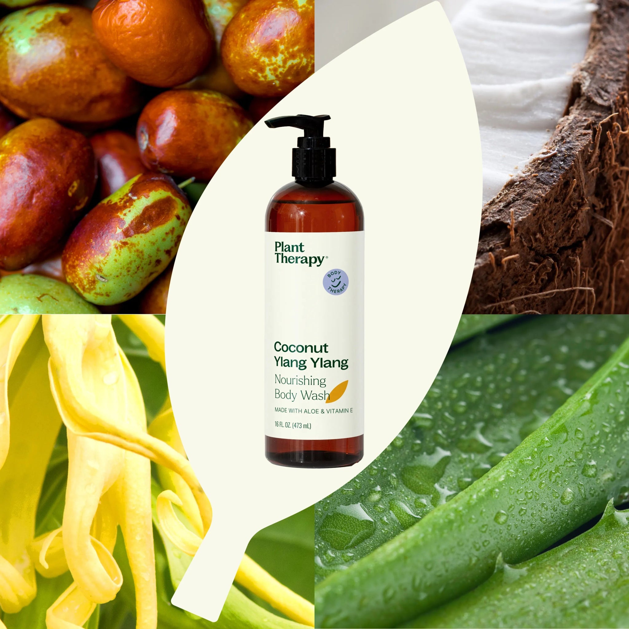 Coconut Ylang Ylang Body Wash Plant Therapy