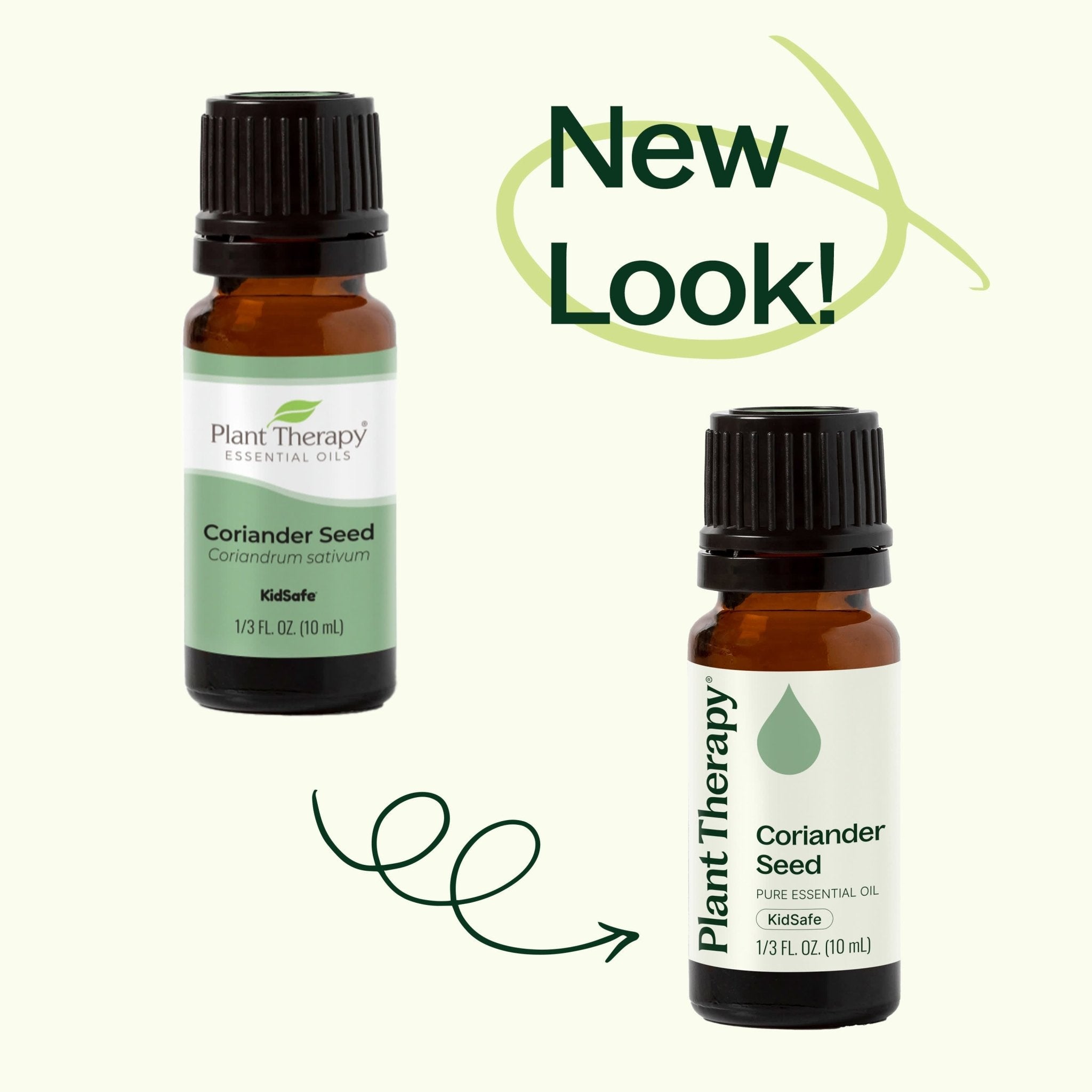 Coriander Seed Essential Oil Plant Therapy