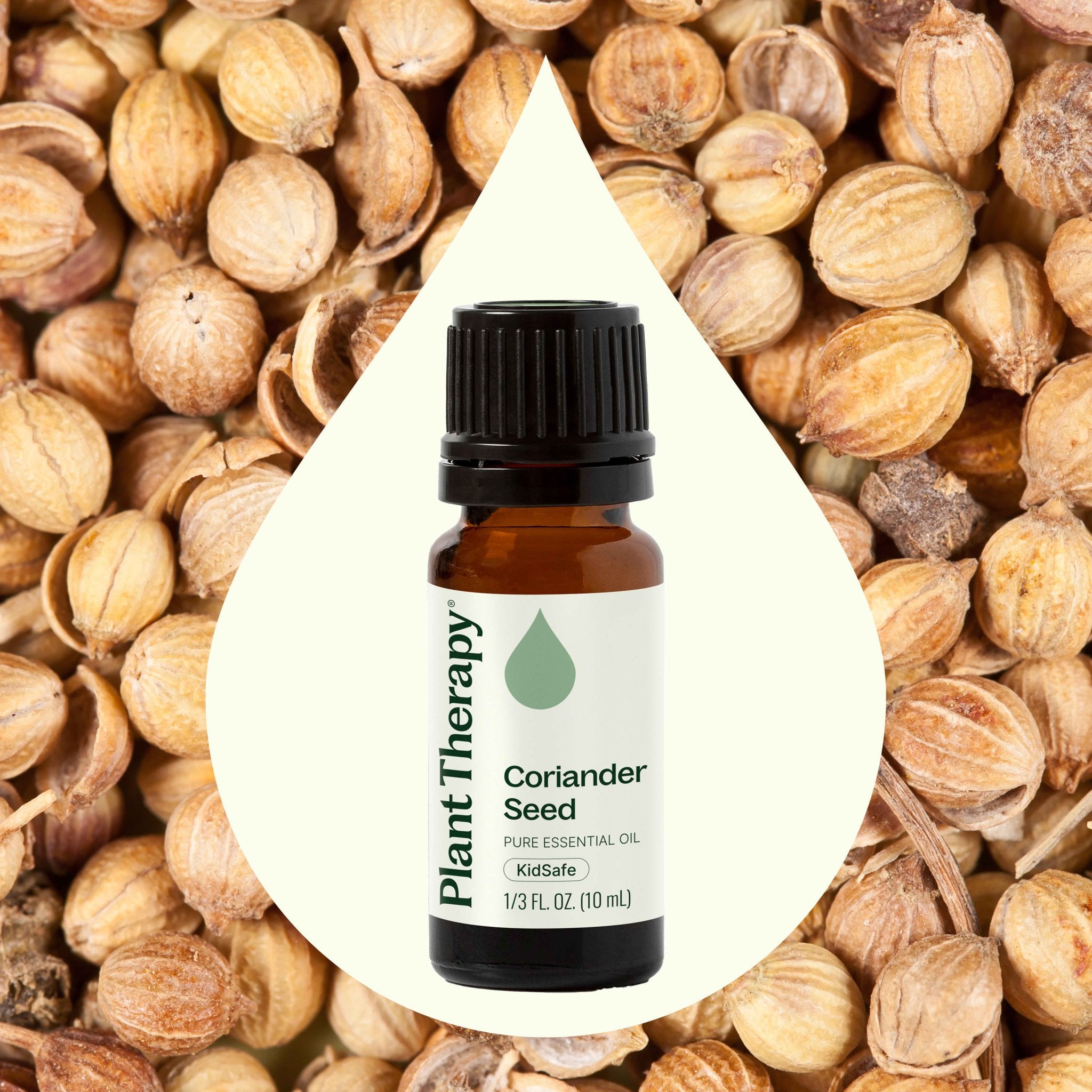 Coriander Seed Essential Oil Plant Therapy
