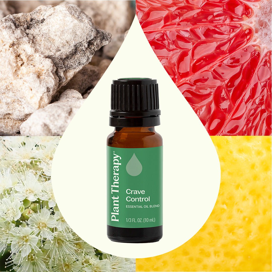 Crave Control Essential Oil Blend Plant Therapy