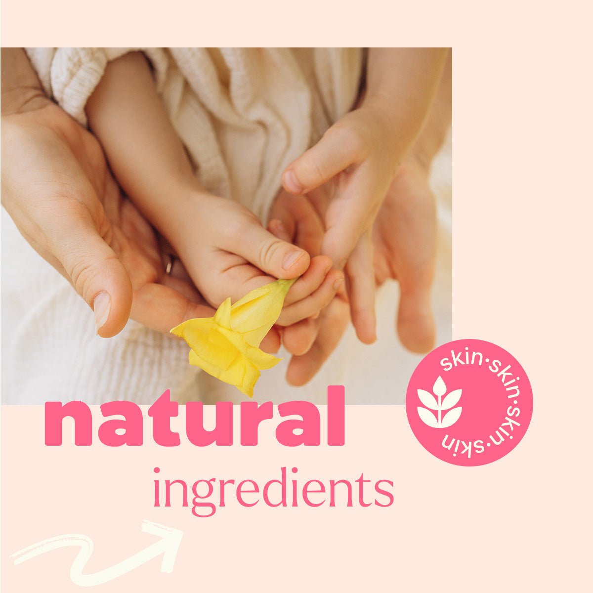 Daily Moisture Lotion Plant Therapy