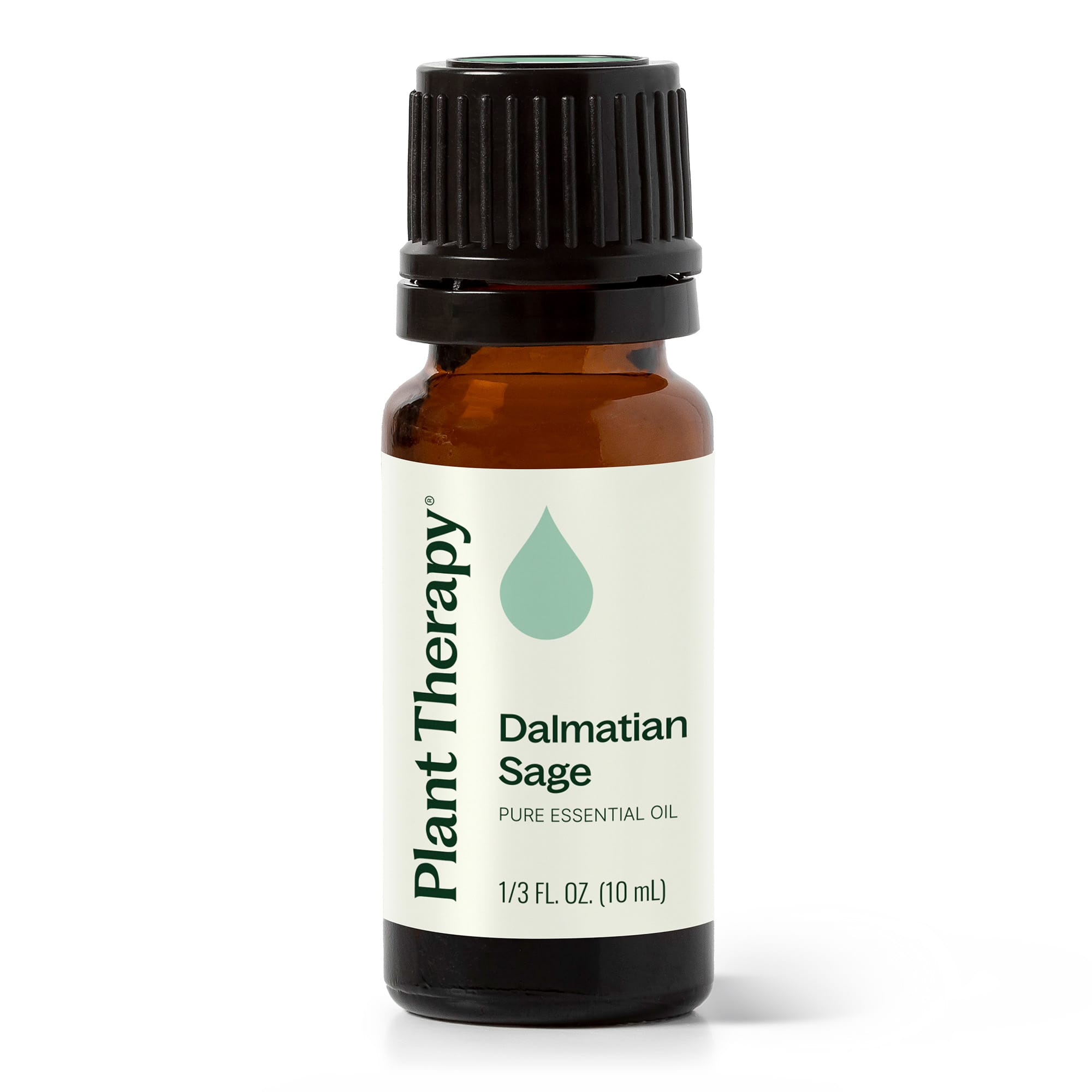 Dalmatian Sage Essential Oil Plant Therapy