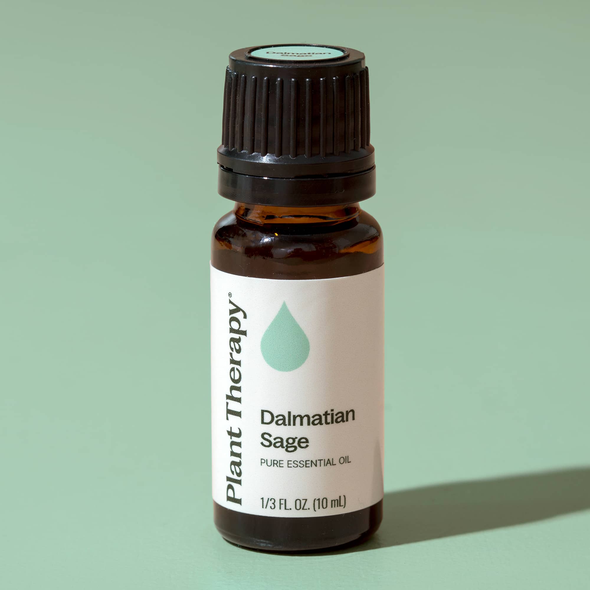 Dalmatian Sage Essential Oil Plant Therapy