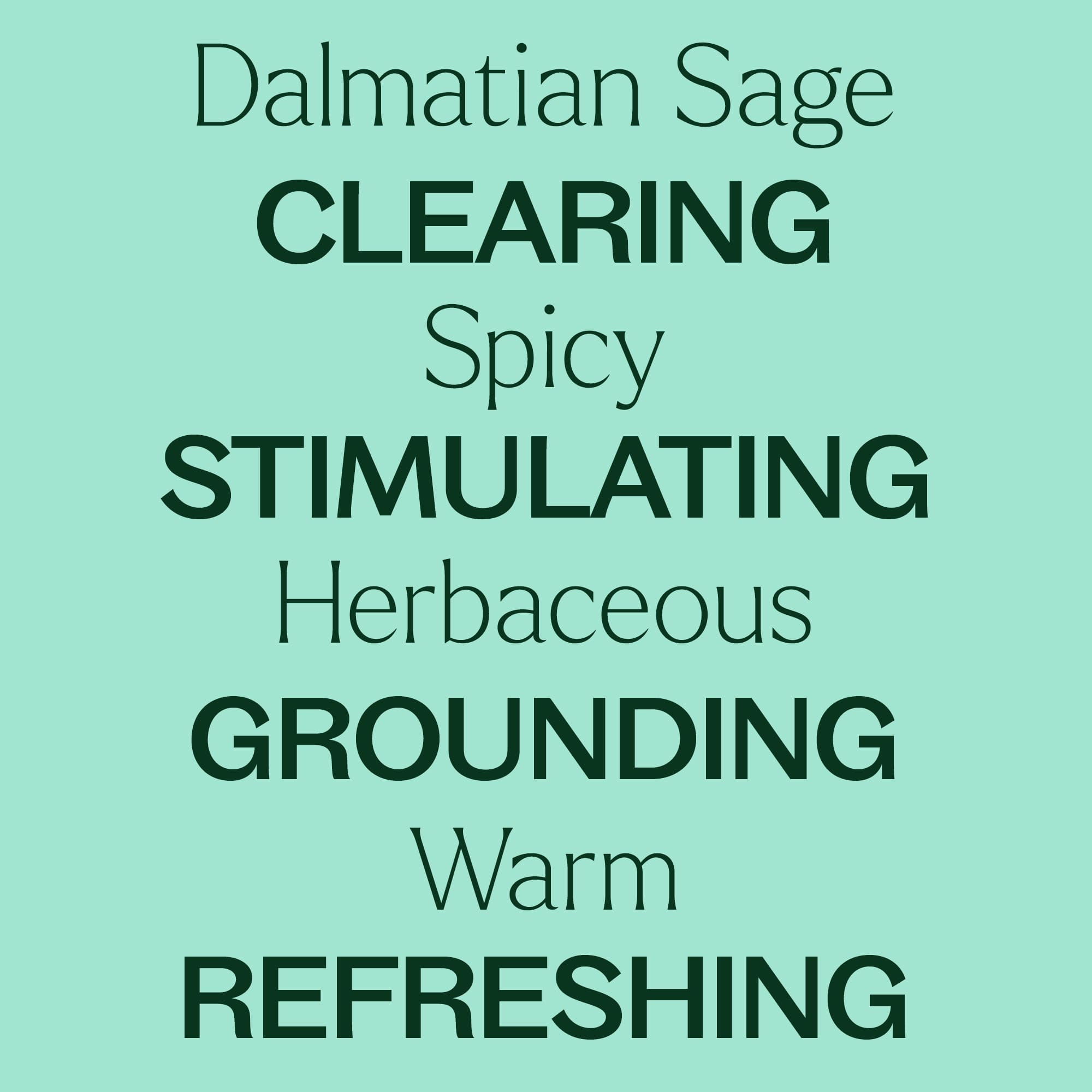 Dalmatian Sage Essential Oil Plant Therapy