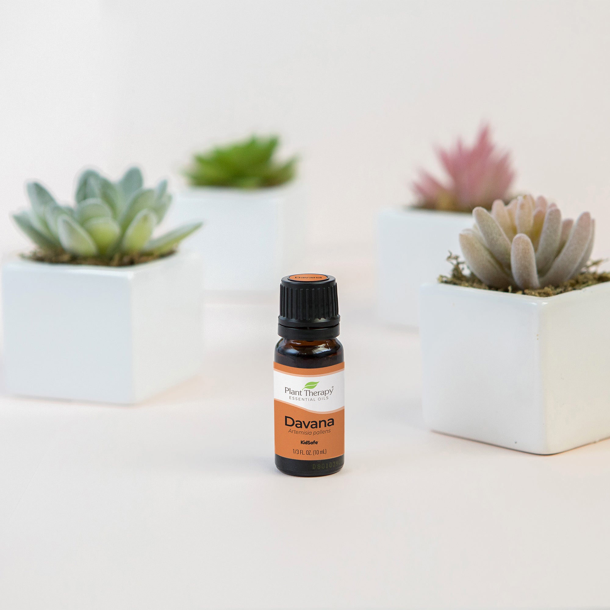 Davana Essential Oil Plant Therapy