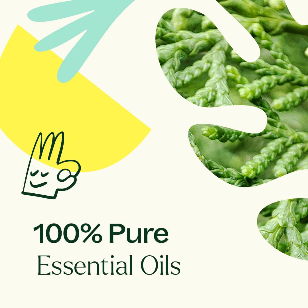 Deodorizing Essential Oil Blend Plant Therapy