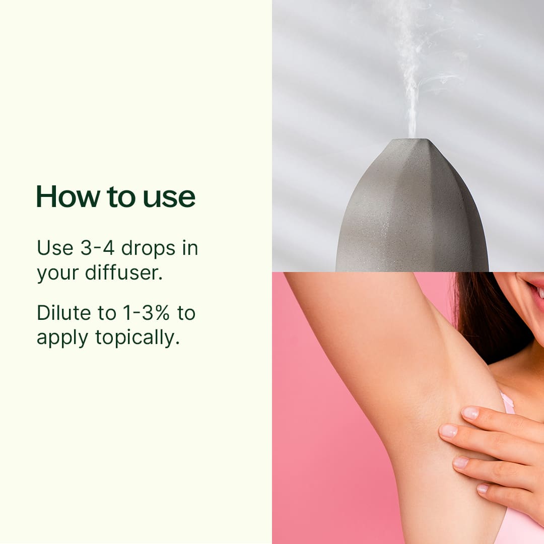 Deodorizing Essential Oil Blend Plant Therapy