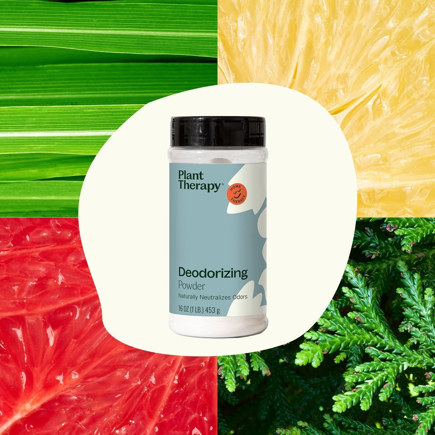 Deodorizing Powder Plant Therapy