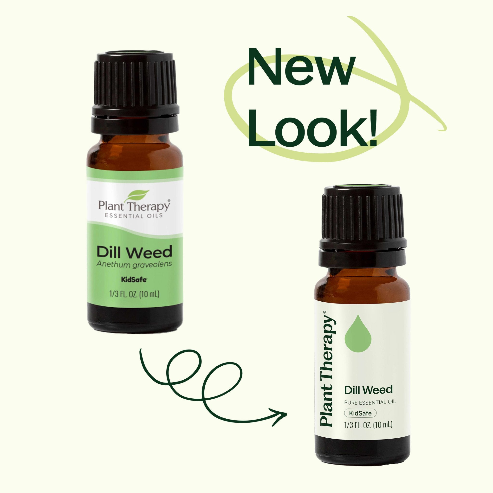 Dill Weed Essential Oil Plant Therapy