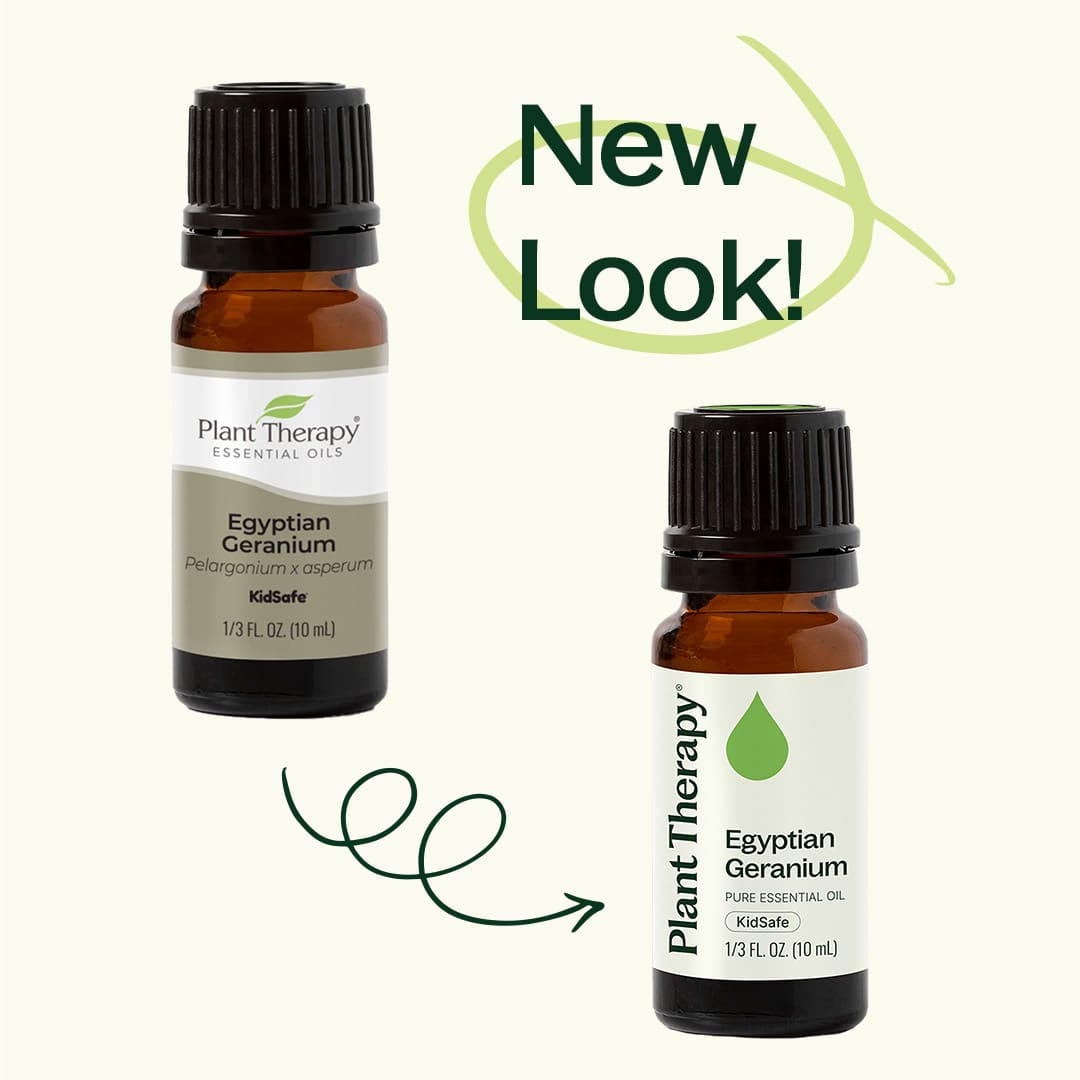 Egyptian Geranium Essential Oil Plant Therapy