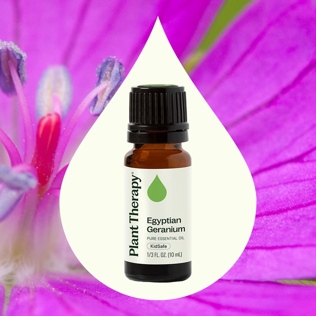 Egyptian Geranium Essential Oil Plant Therapy