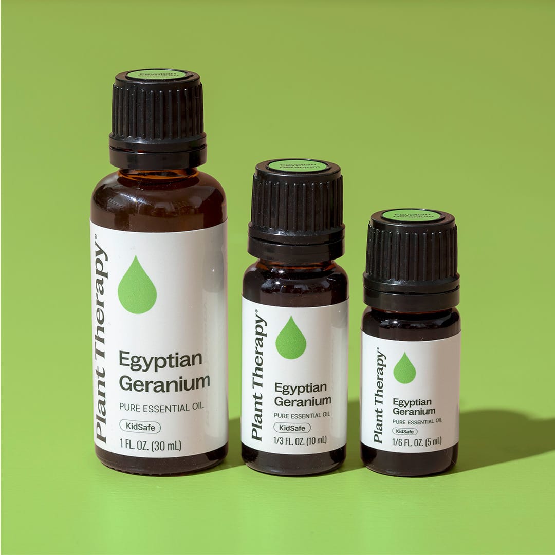 Egyptian Geranium Essential Oil Plant Therapy
