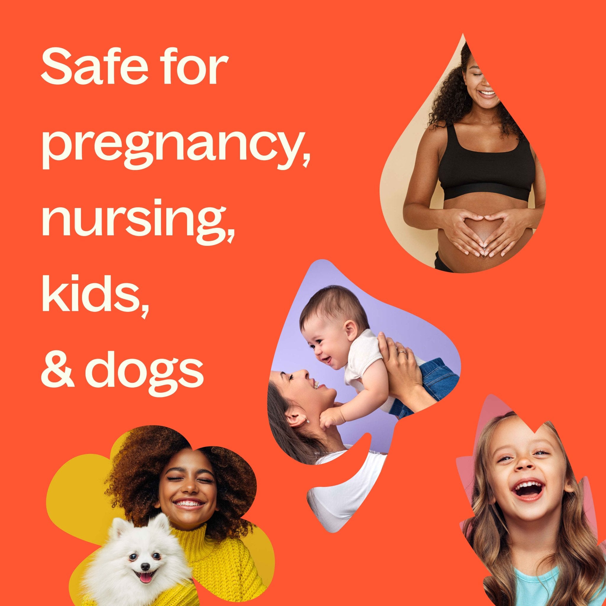 Elemi Essential Oil Plant Therapy