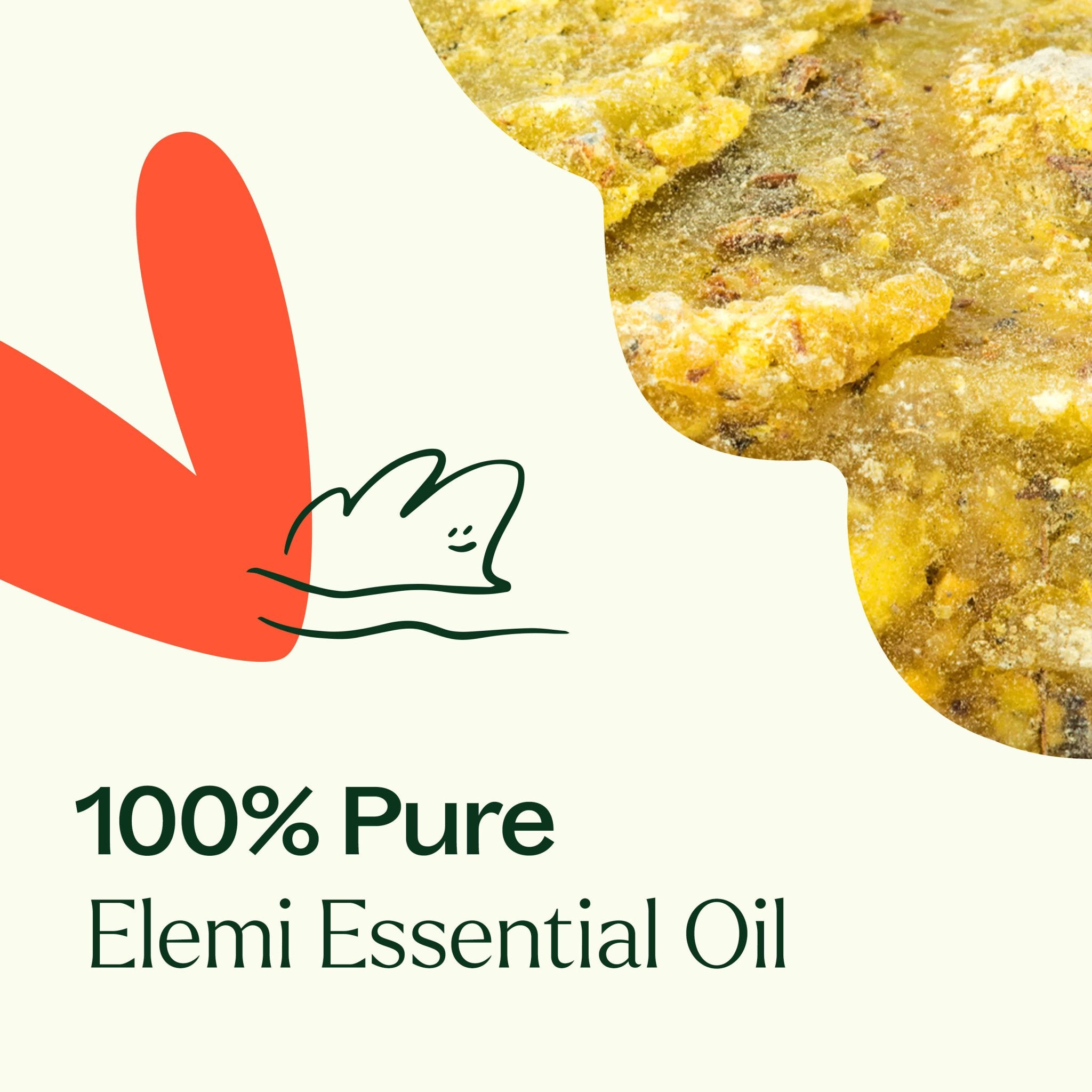 Elemi Essential Oil Plant Therapy