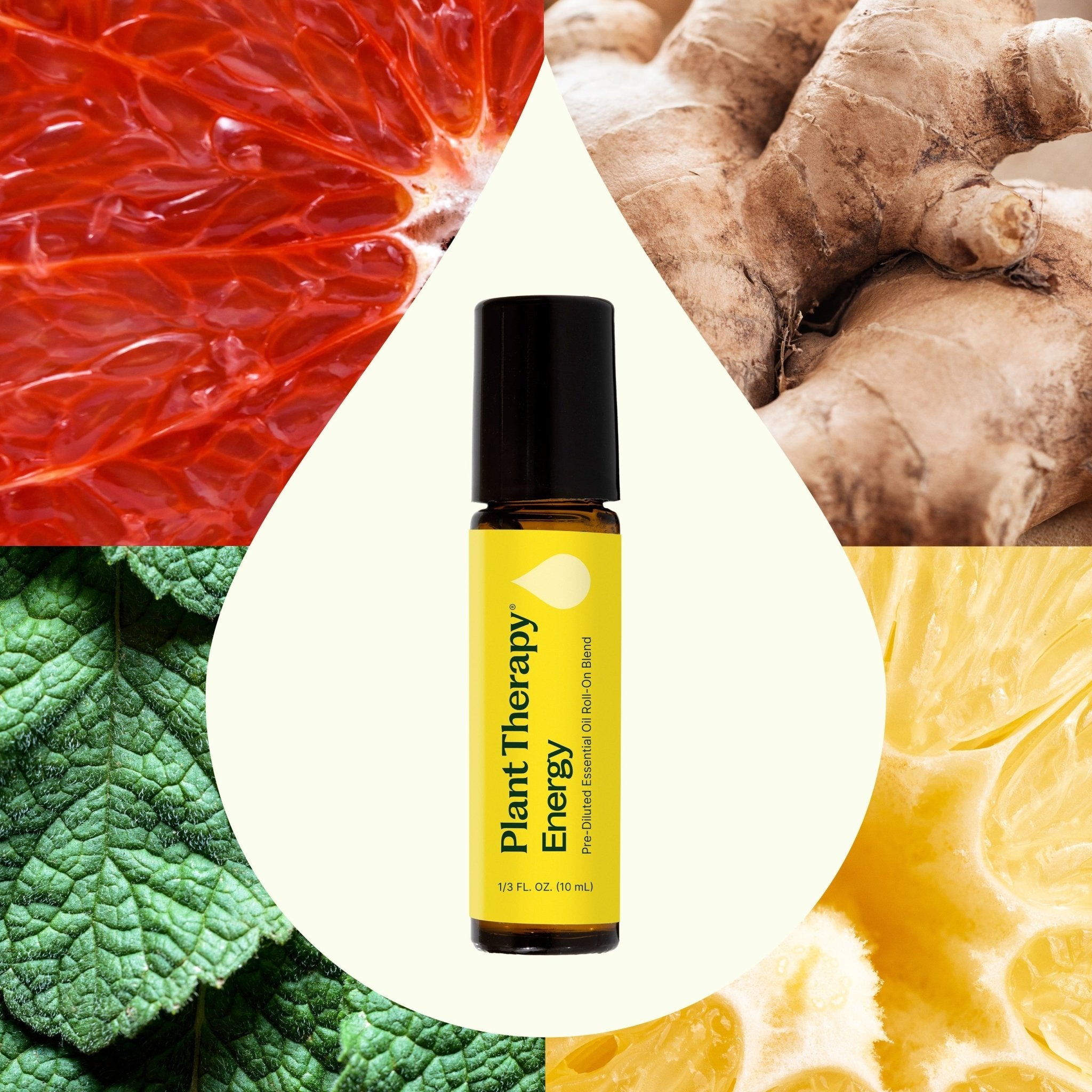 Energy Essential Oil Blend Pre - Diluted Roll - On Plant Therapy