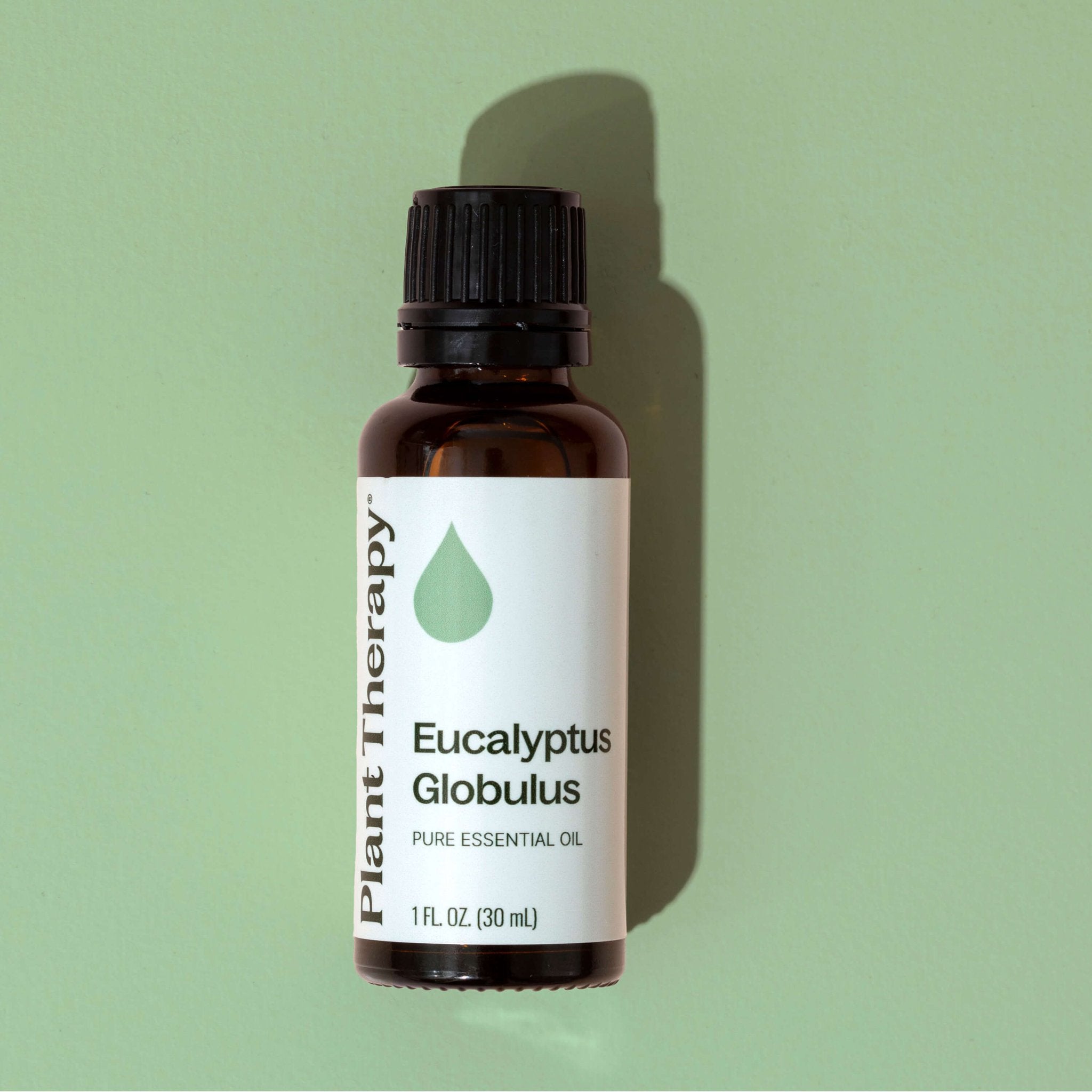 Eucalyptus Globulus Essential Oil Plant Therapy