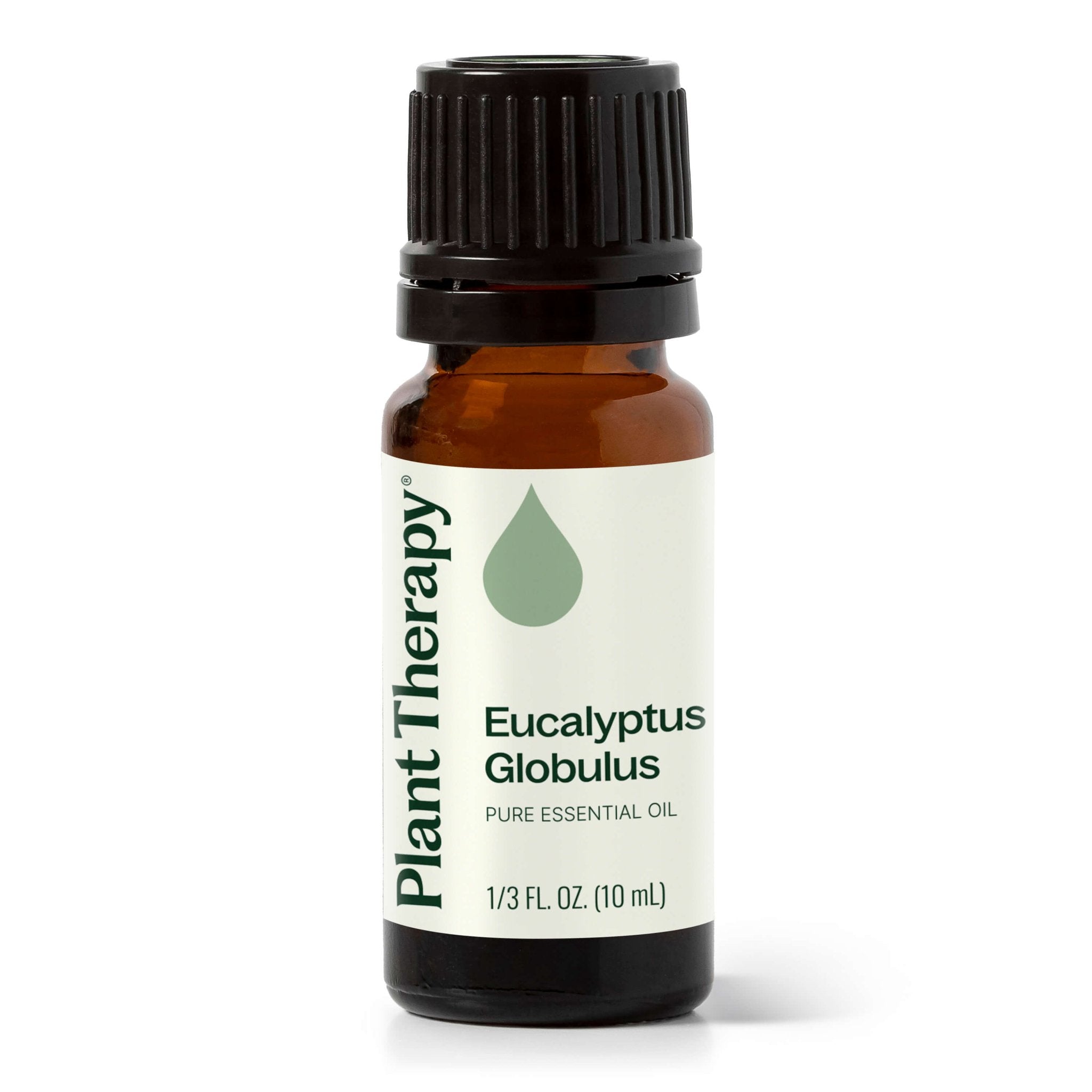 Eucalyptus Globulus Essential Oil Plant Therapy
