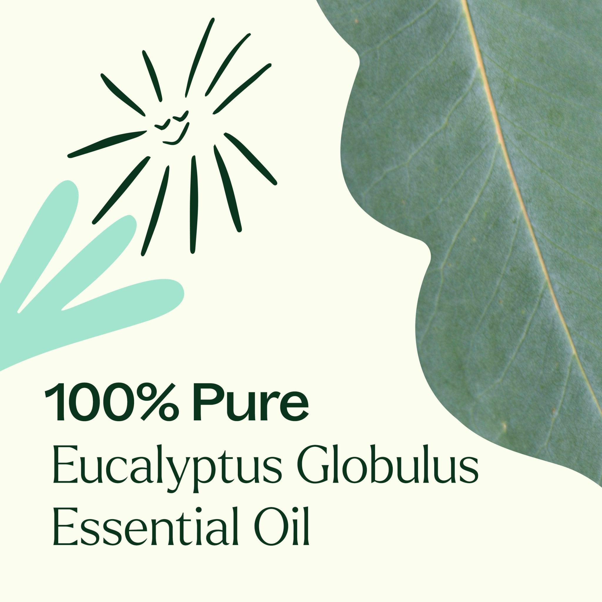 Eucalyptus Globulus Essential Oil Pre - Diluted Roll - On Plant Therapy