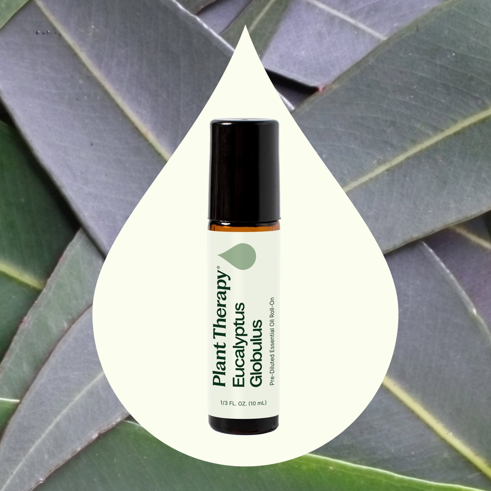 Eucalyptus Globulus Essential Oil Pre - Diluted Roll - On Plant Therapy