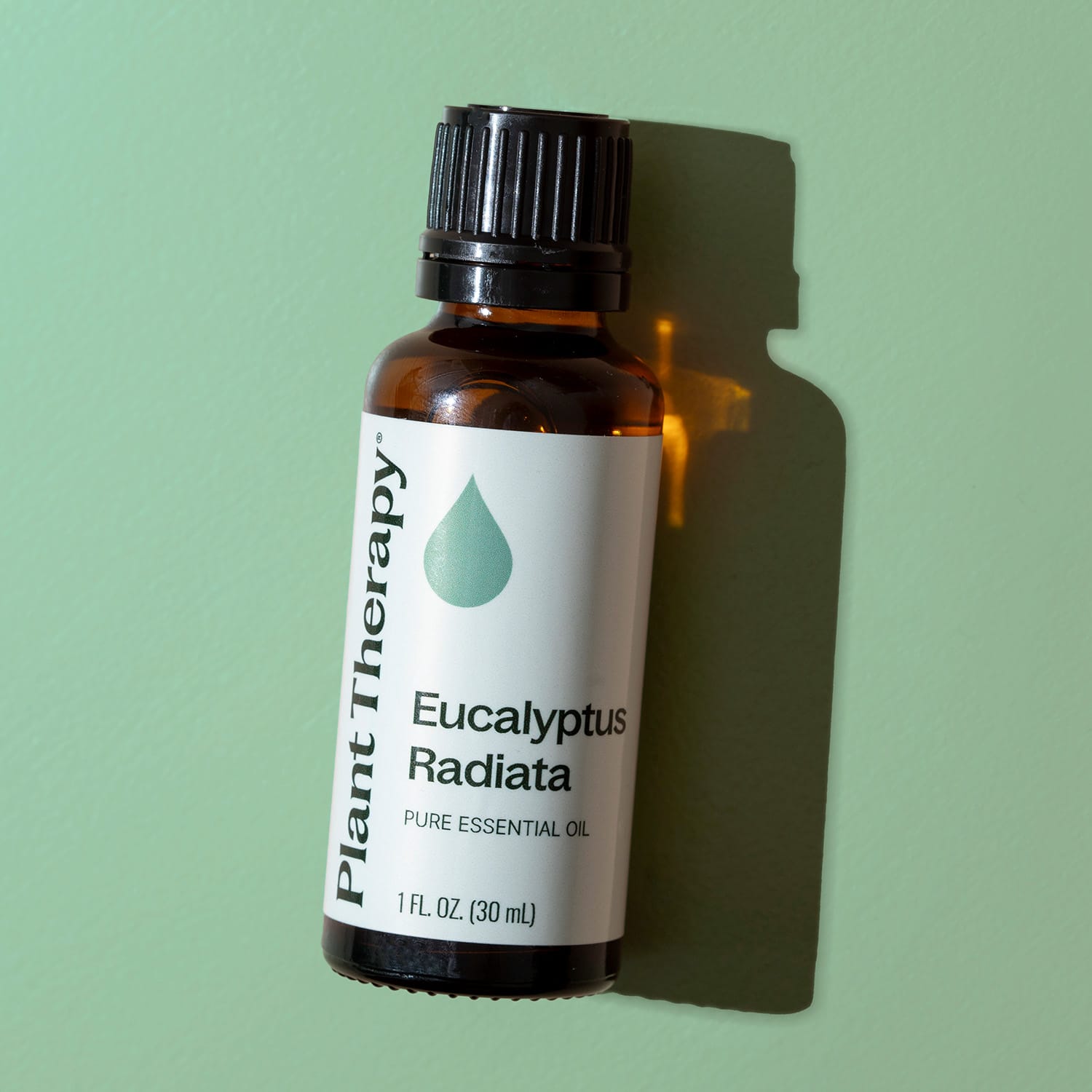 Eucalyptus Radiata Essential Oil Plant Therapy