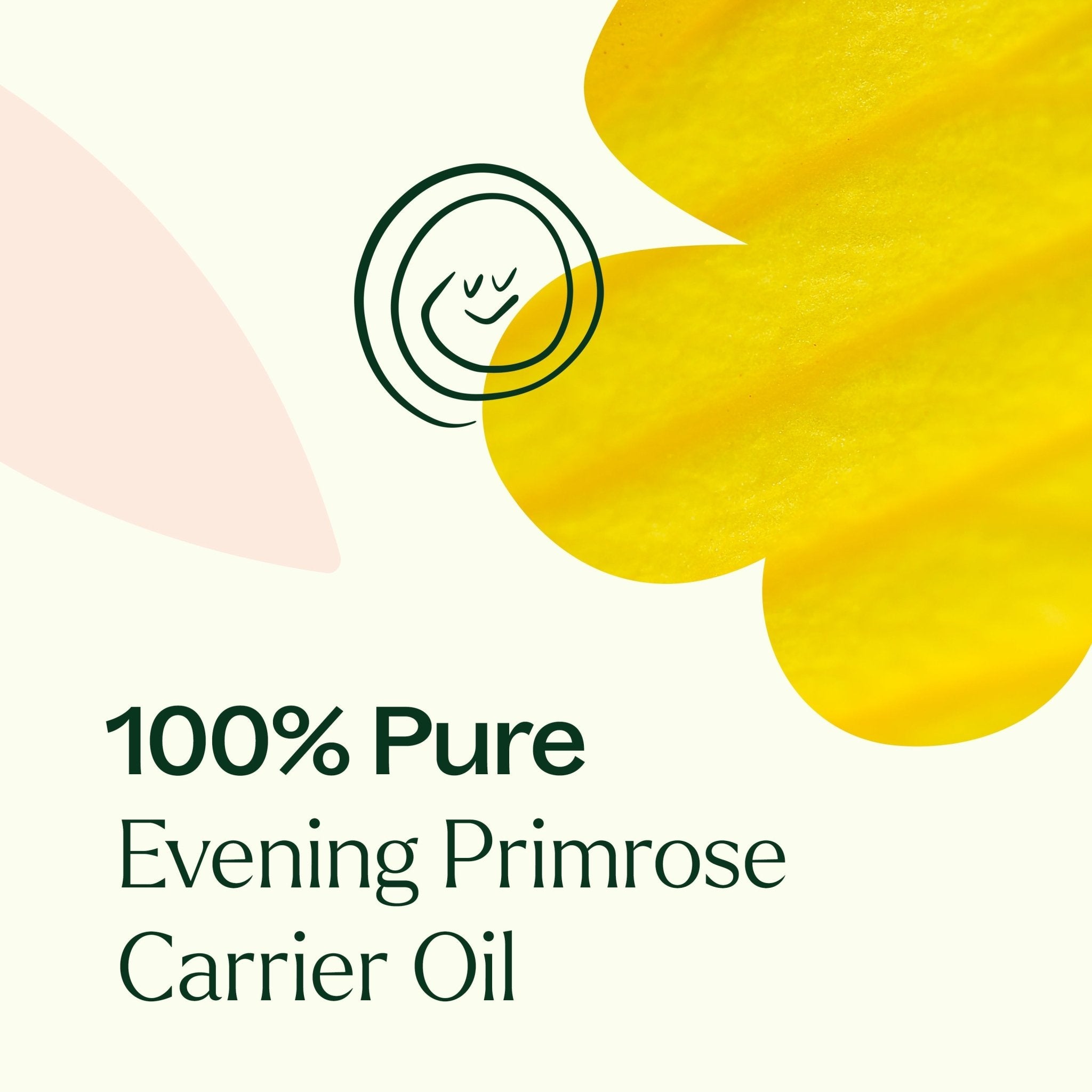 Evening Primrose Carrier Oil Plant Therapy