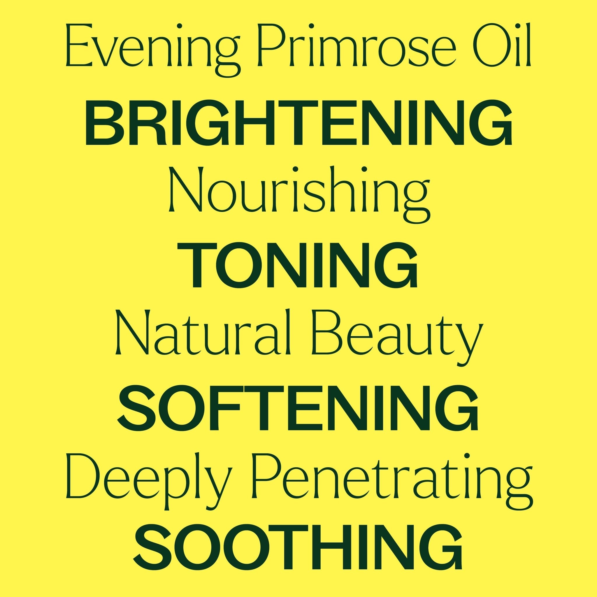 Evening Primrose Carrier Oil Plant Therapy