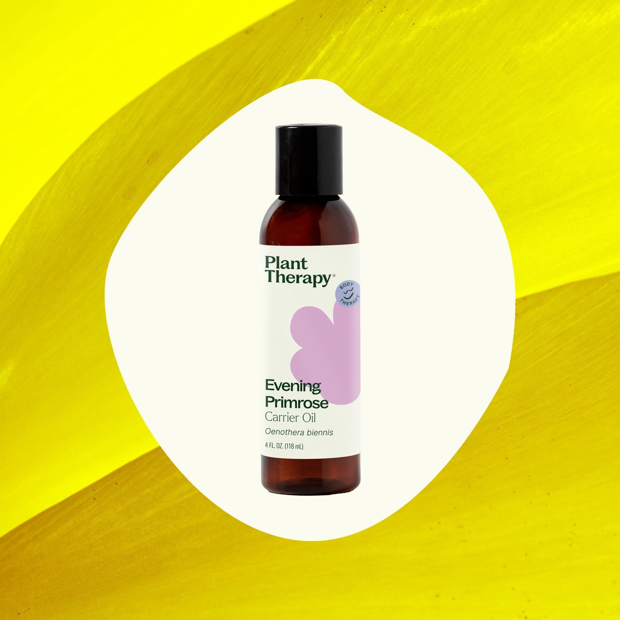 Evening Primrose Carrier Oil Plant Therapy