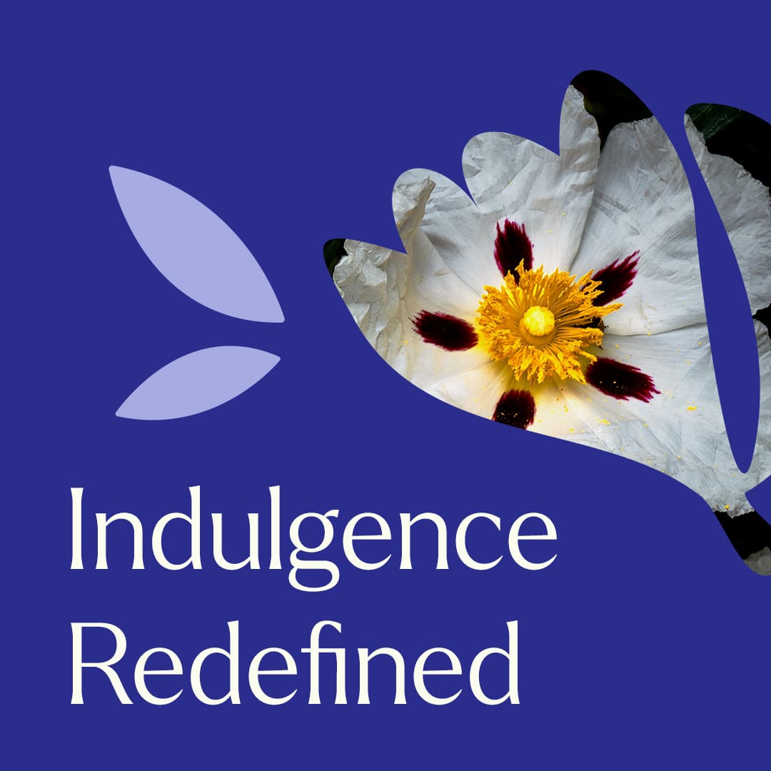 Evoke Silky Twilight Body Oil Plant Therapy