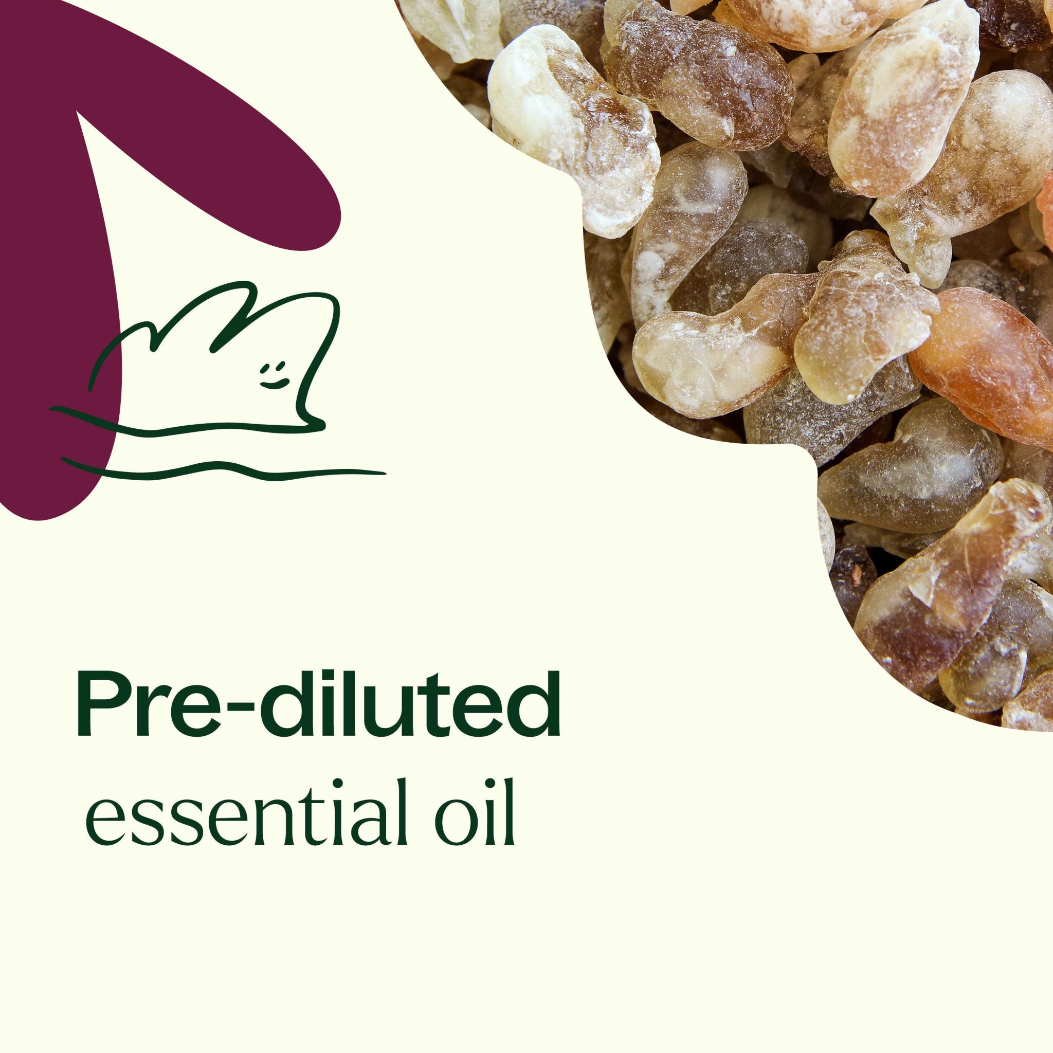 Frankincense Carterii Essential Oil Pre - Diluted Roll - On Plant Therapy
