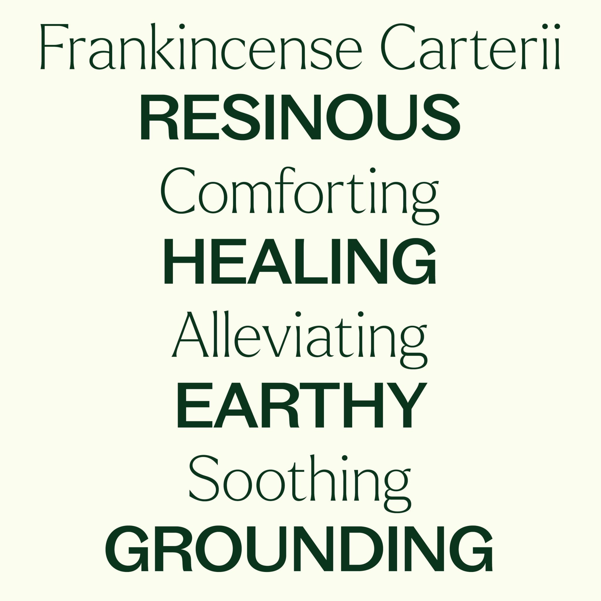 Frankincense Carterii Essential Oil Pre - Diluted Roll - On Plant Therapy