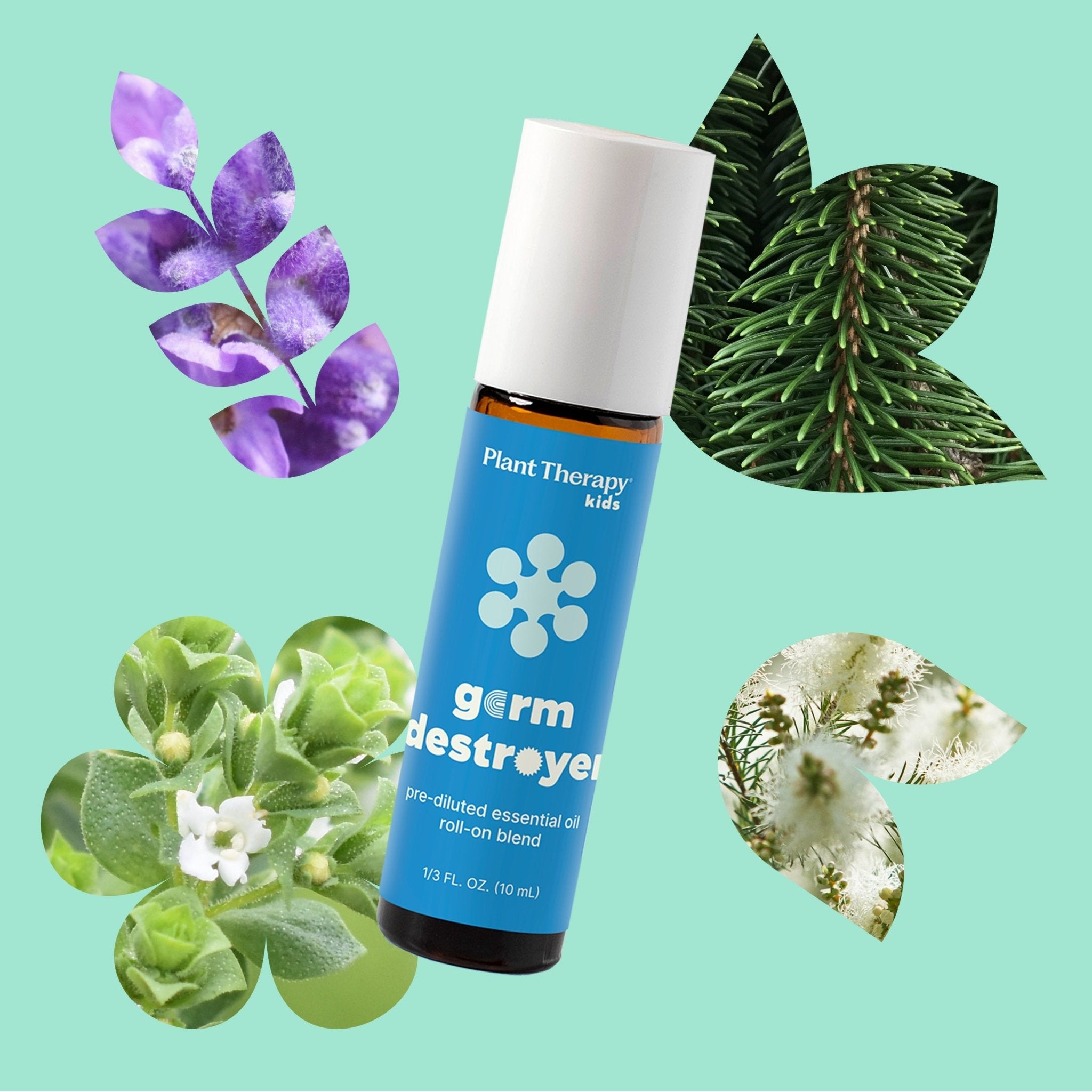 Germ Destroyer Essential Oil Pre - Diluted Roll - On Plant Therapy