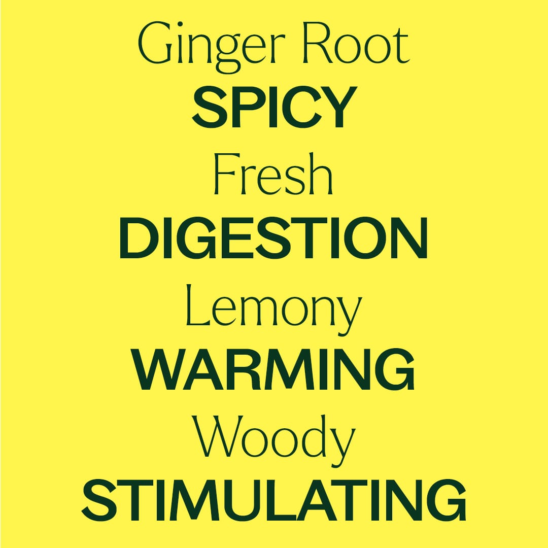 Ginger Root CO2 Extract Plant Therapy